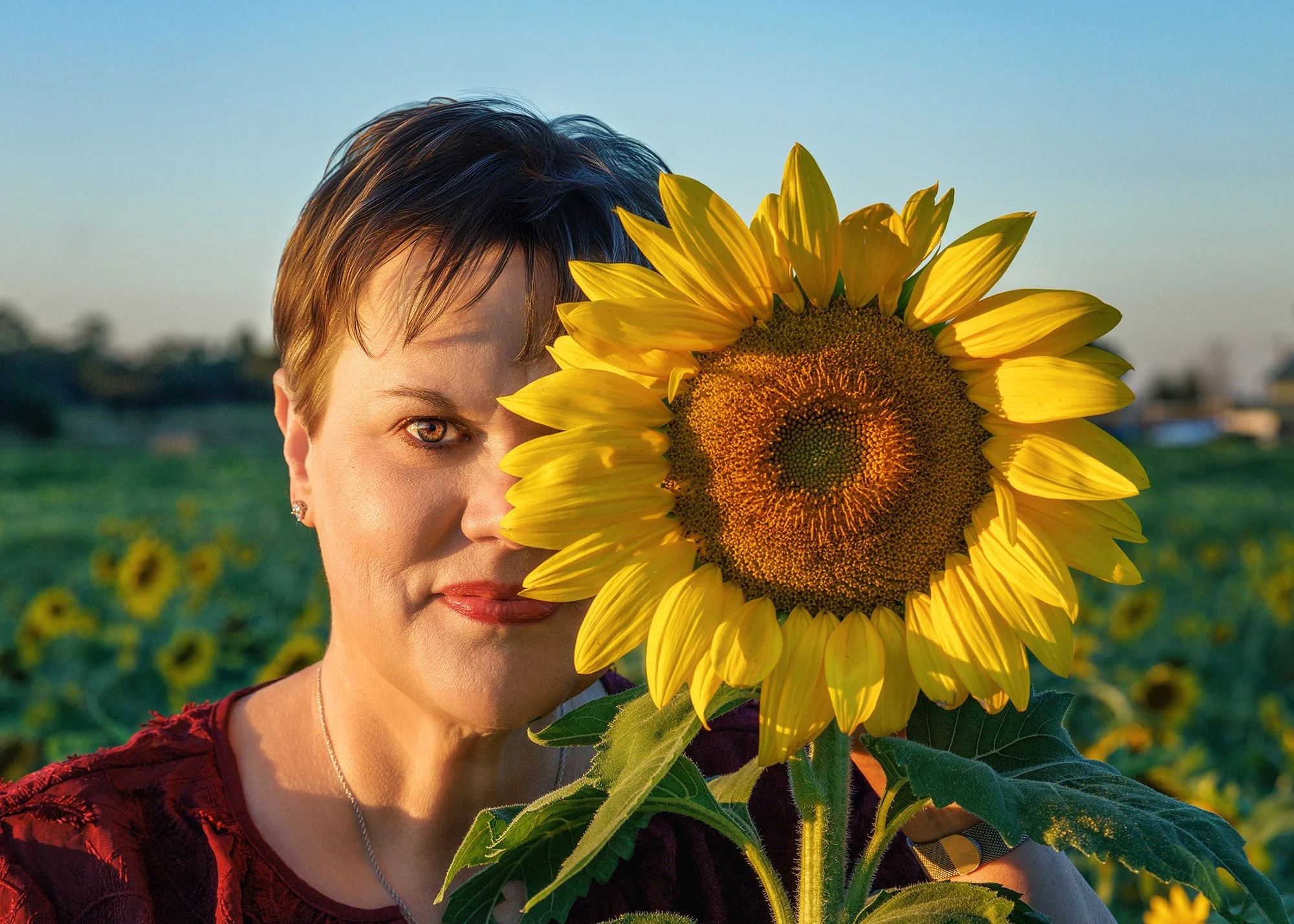 Sunflower photo session Dunnellon, Florida
