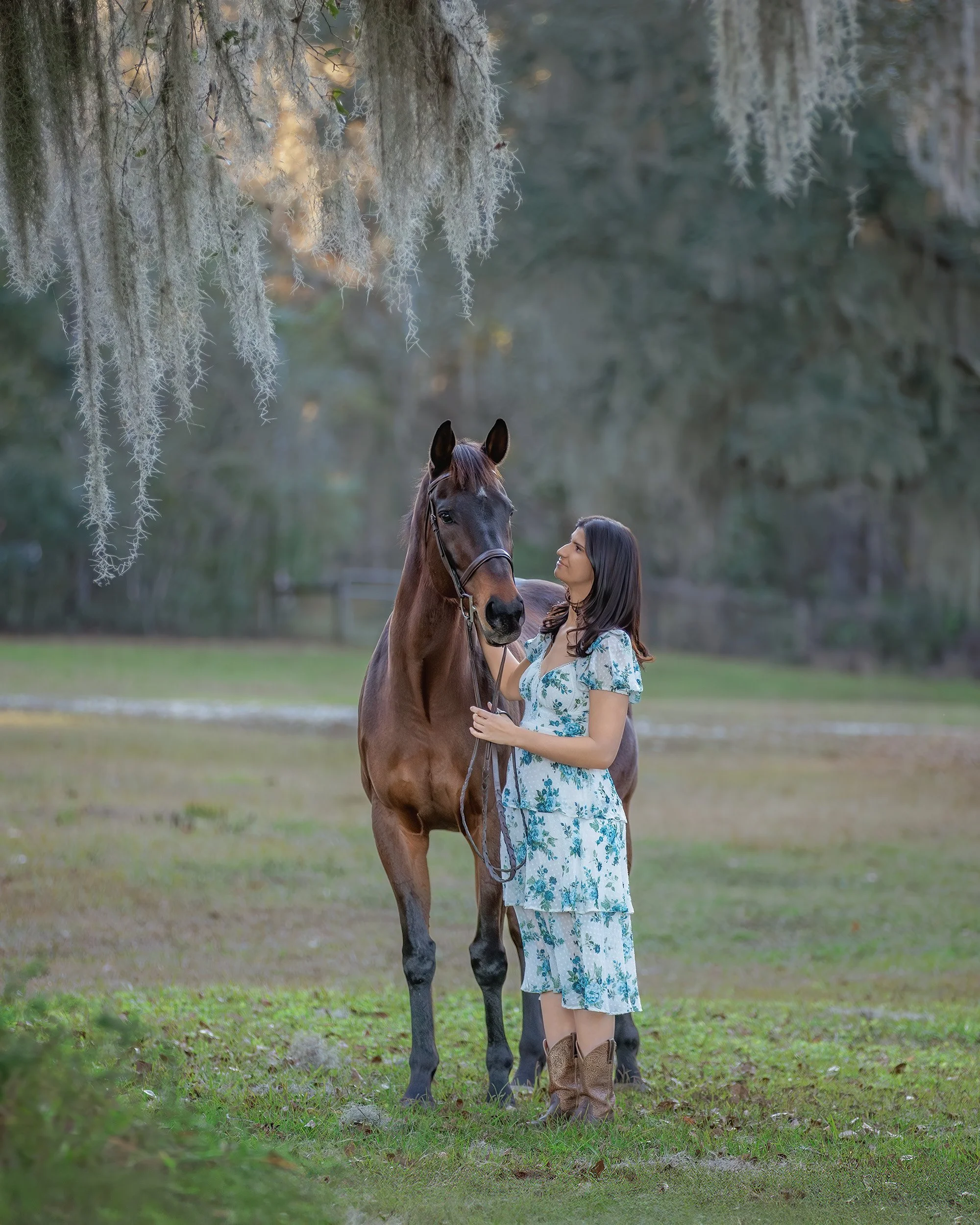 Marion County horse photographer