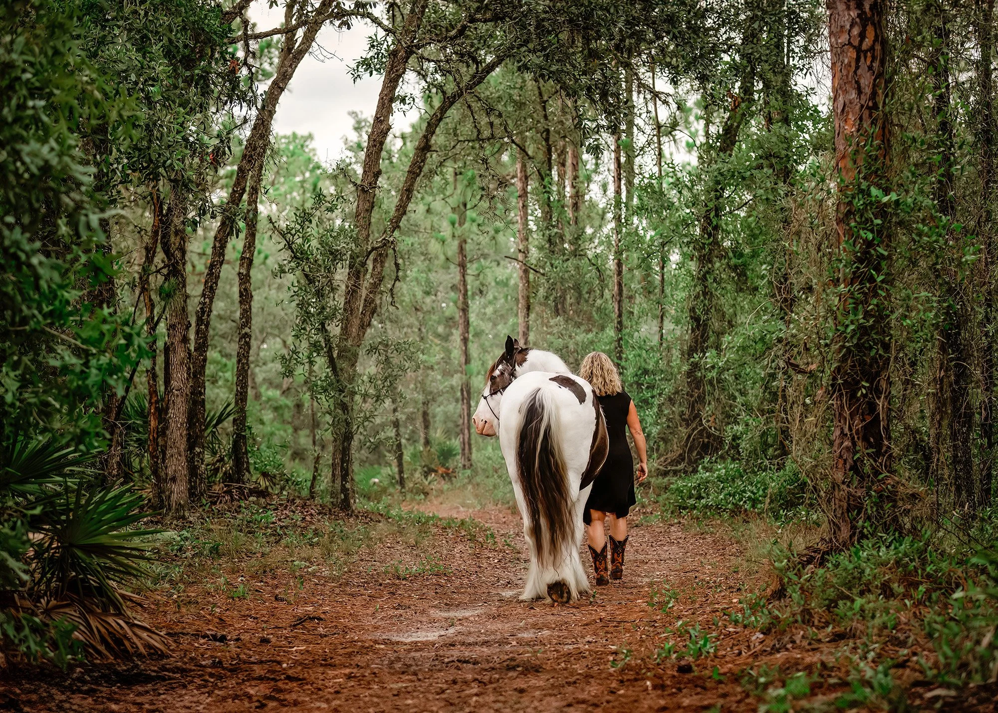 Best Florida equine photographers