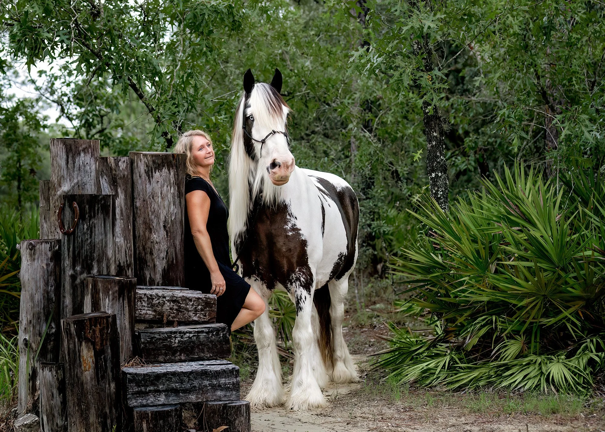 Best horse photographer Ocala
