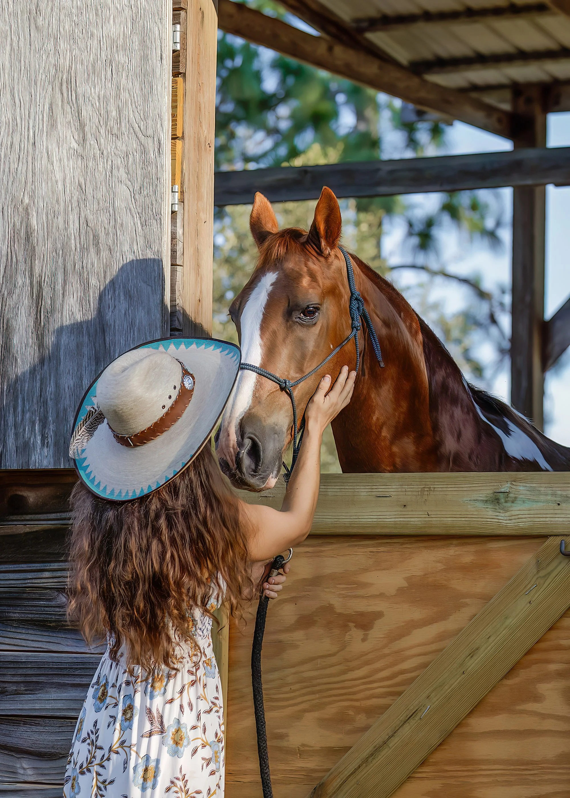 Horse and people photography