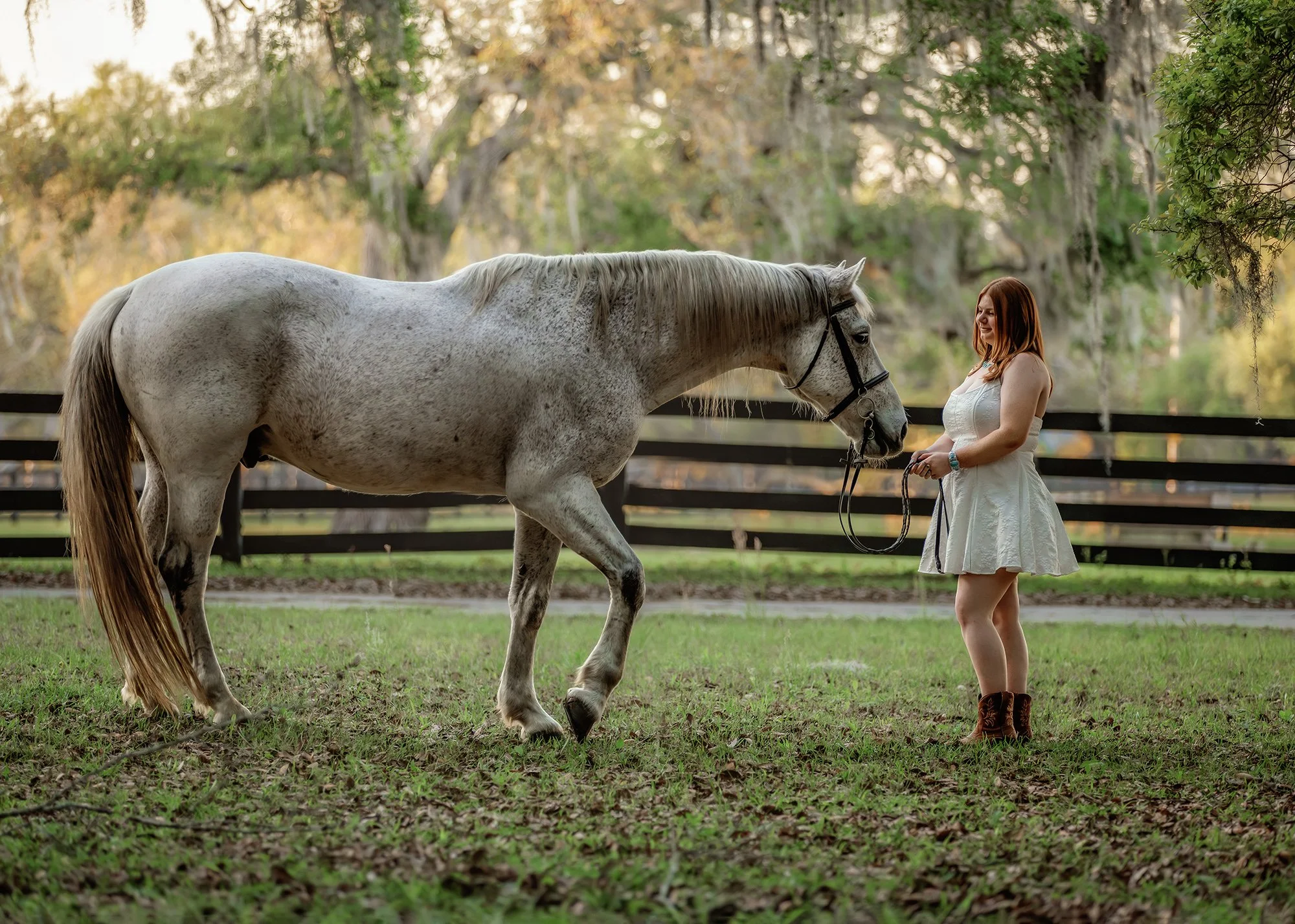 Equine senior sessions in Florida