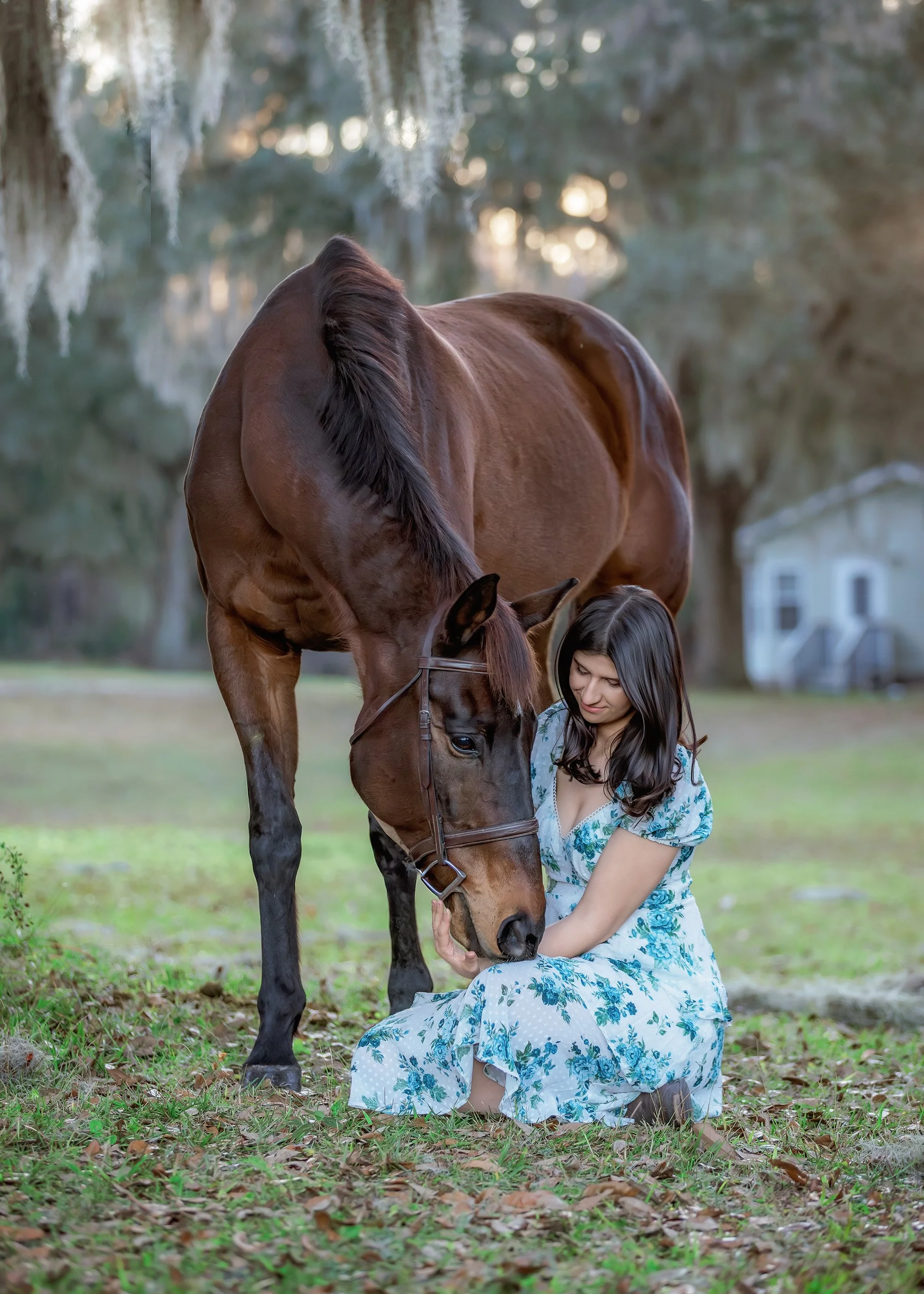 Horse photography Ocala Florida