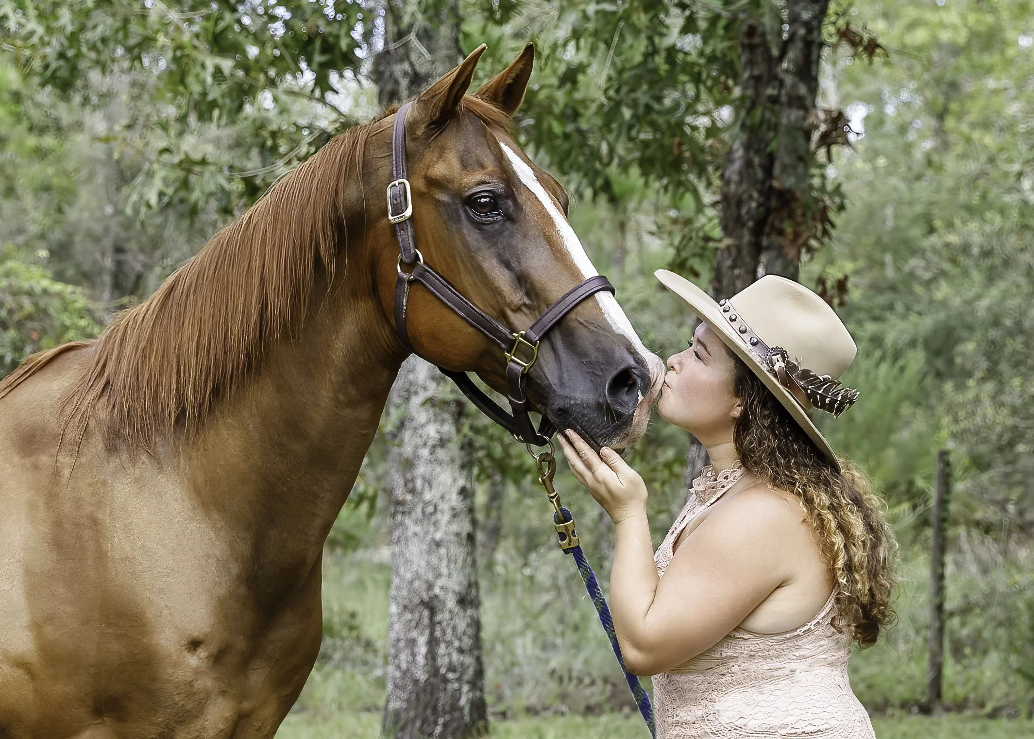 Horse portrait photographer Brooksville