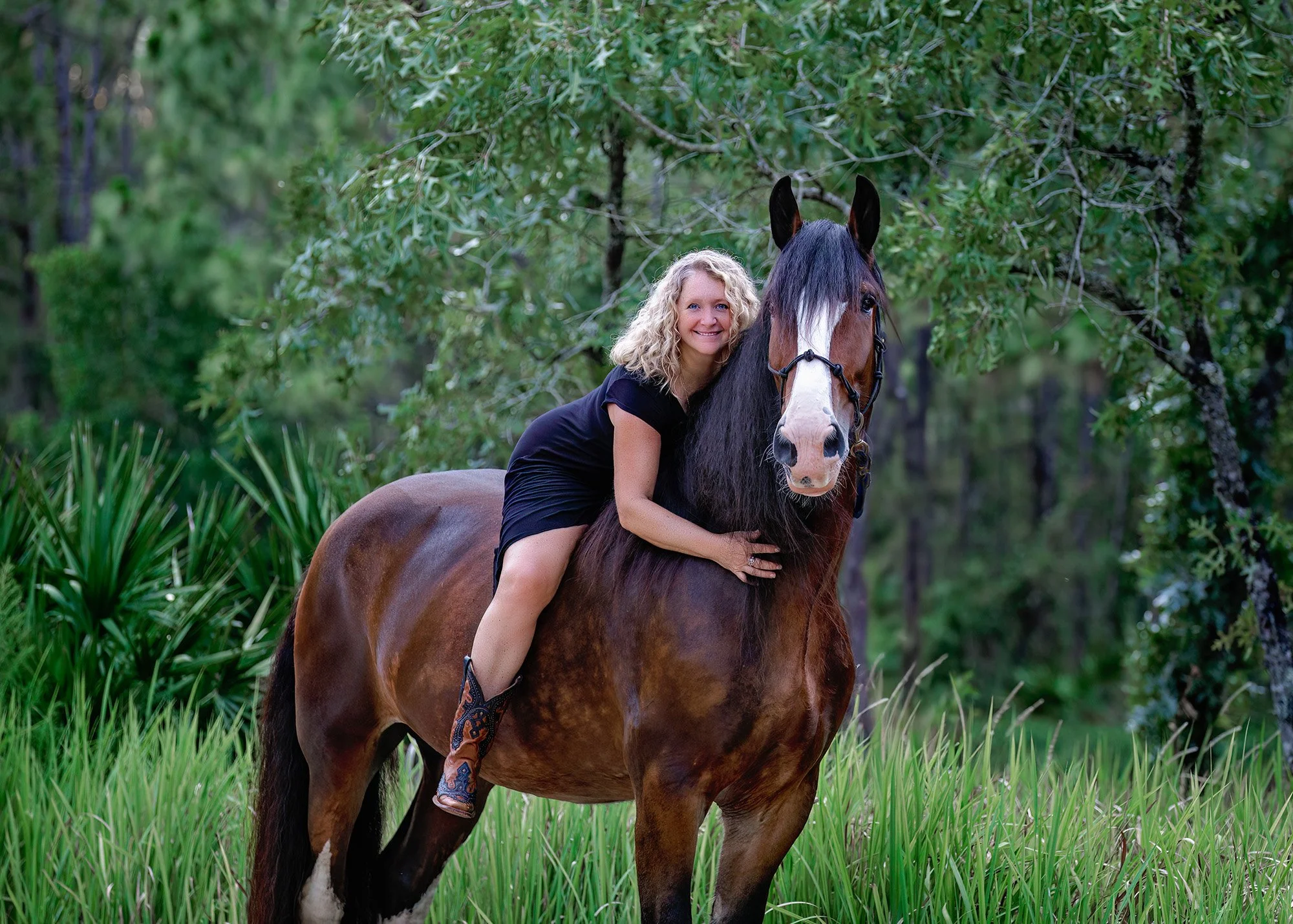 Equine photography in Citrus County, Florida