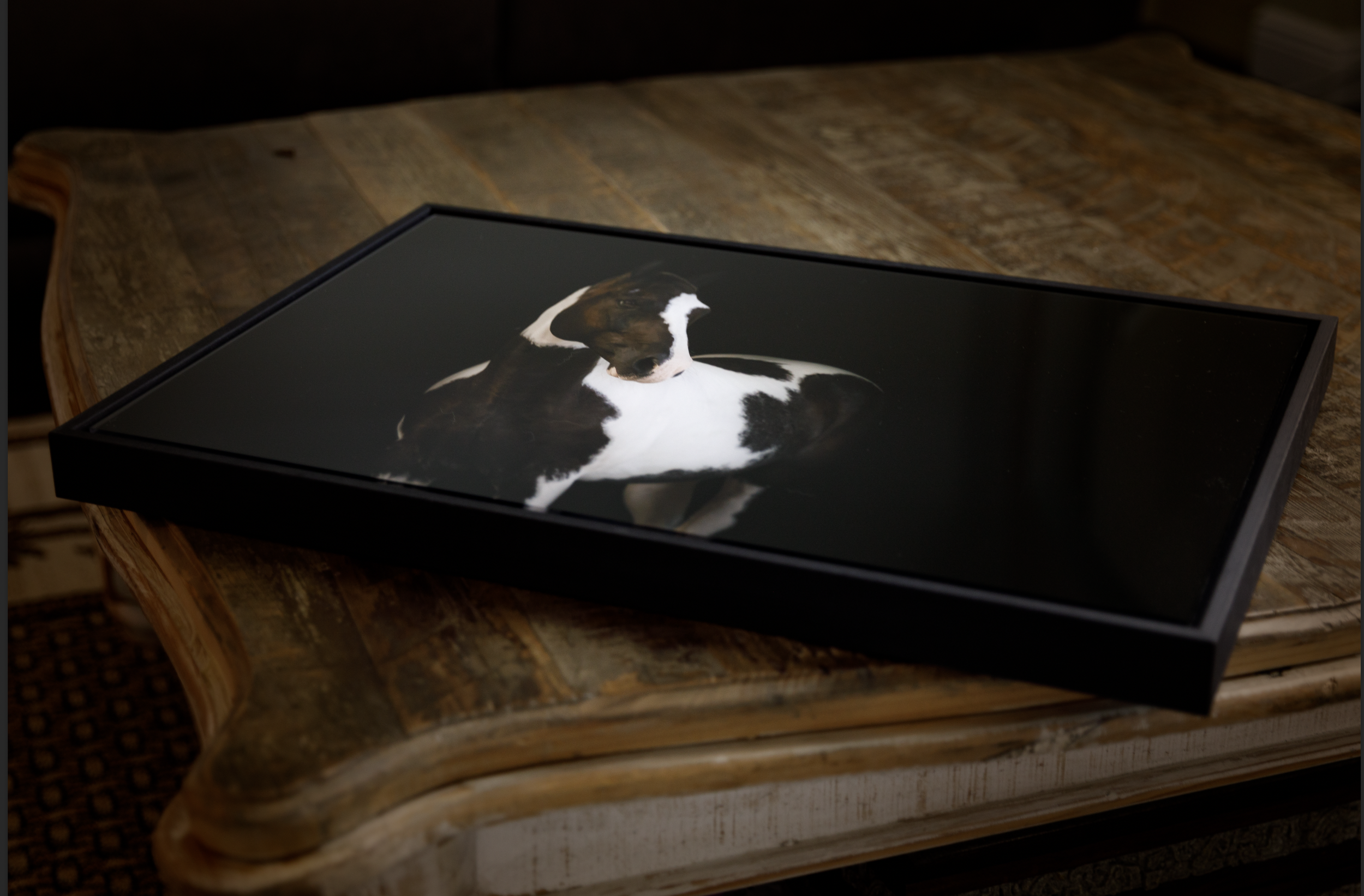 Screen Shot 2022-10-17 at 5.00.31 PM.png