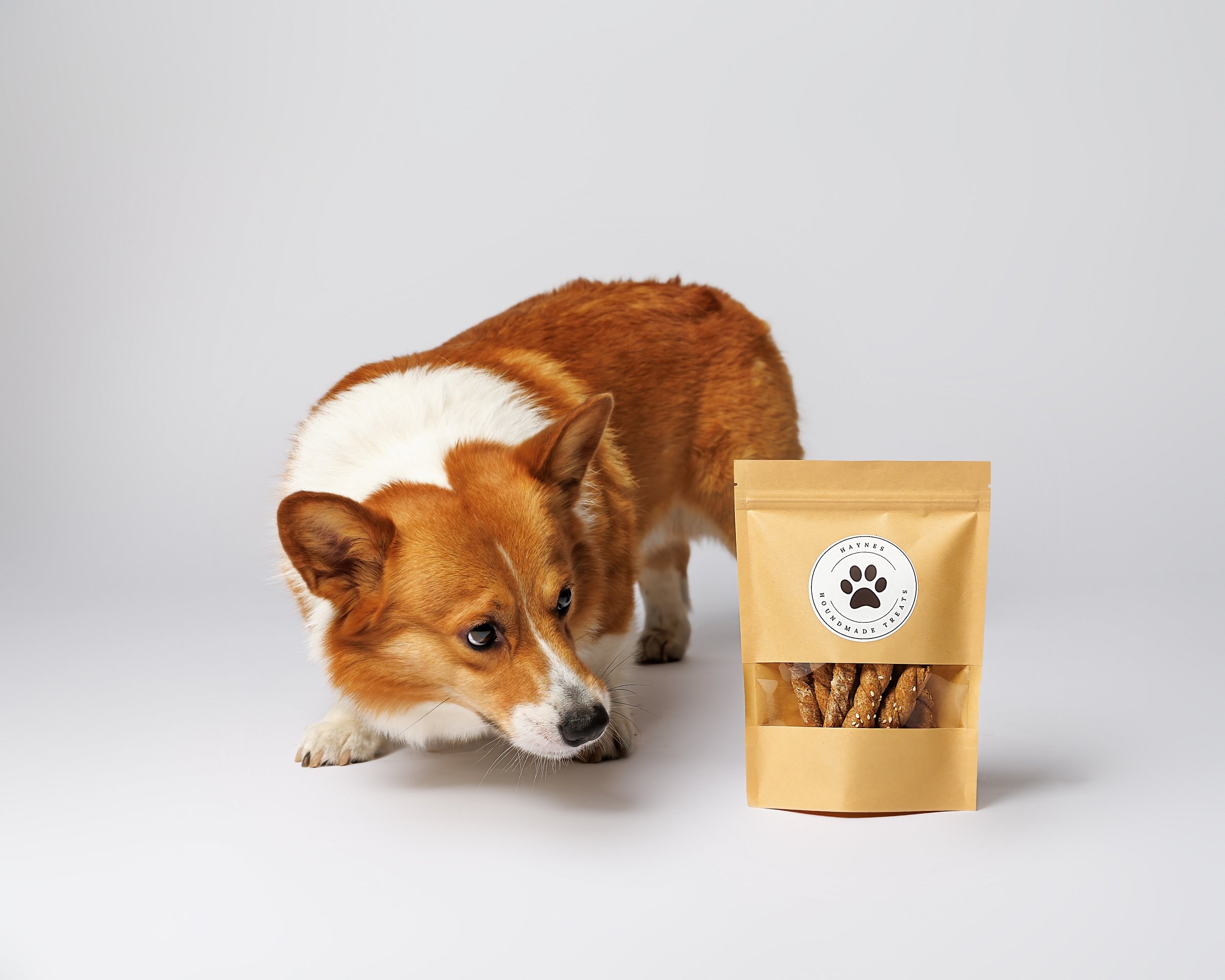 Dog treat company branding photography image