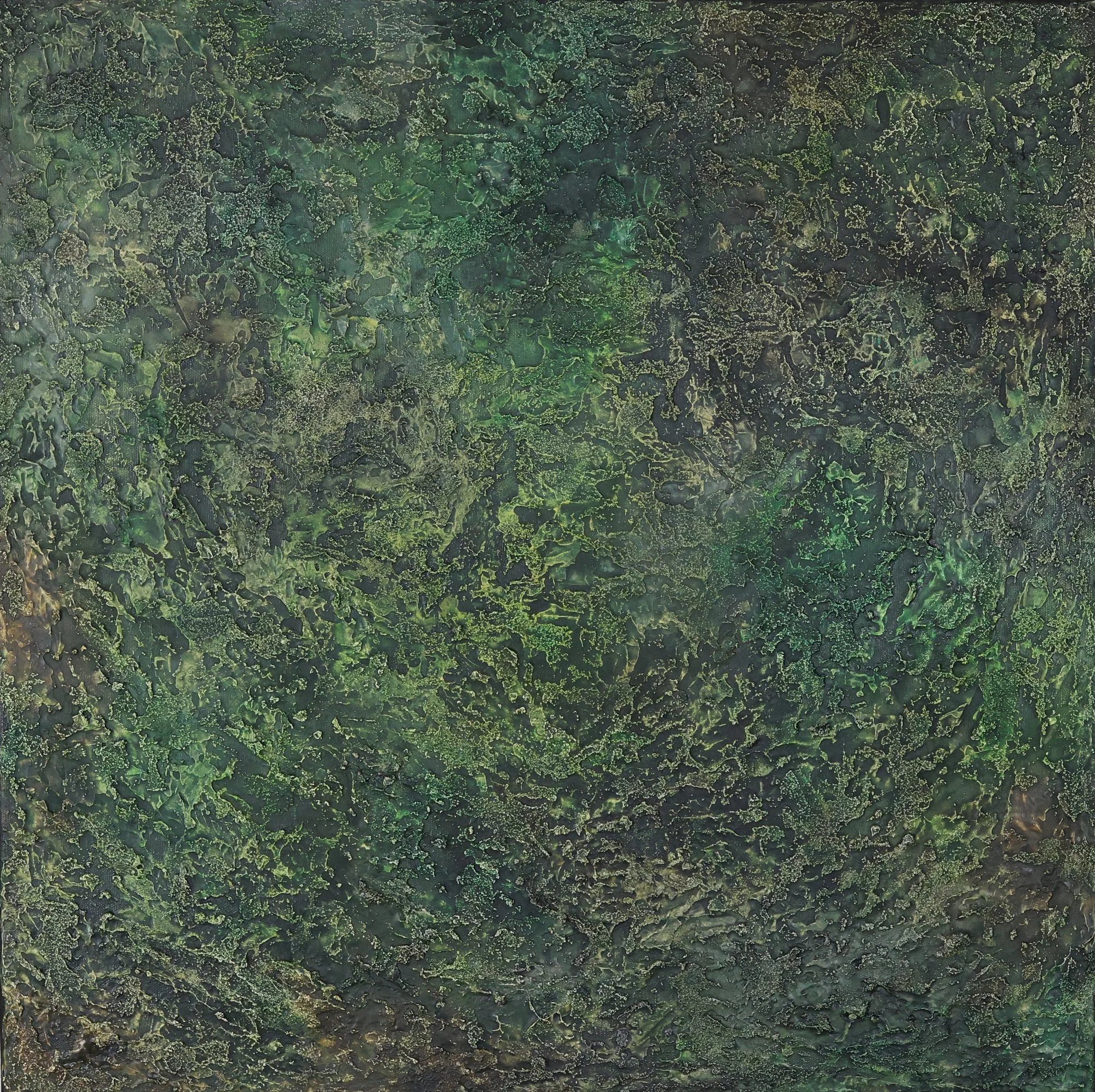 "Secrets Of The Forest I"