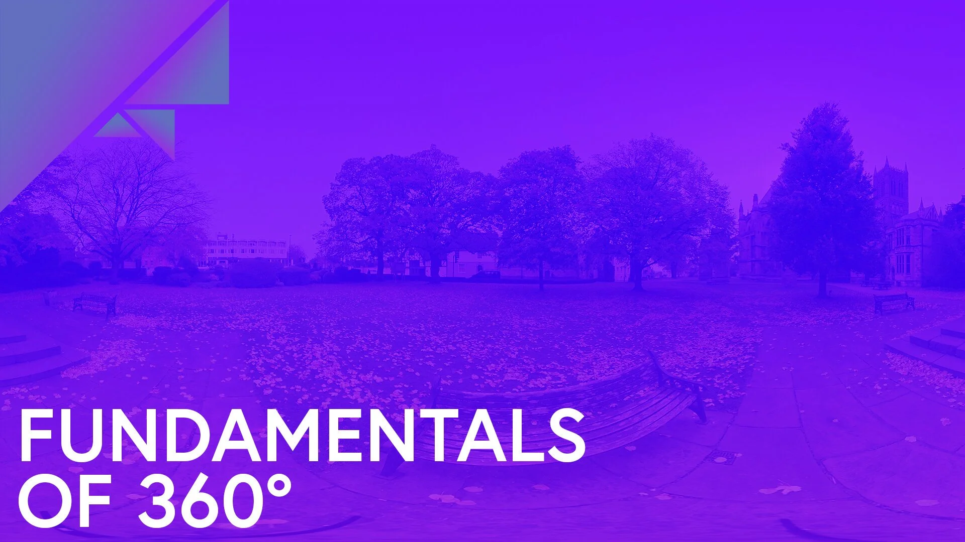 A park with trees and benches, overlaid with a purple and green gradient. The text 'Fundamentals of 360°' is in the bottom left corner.