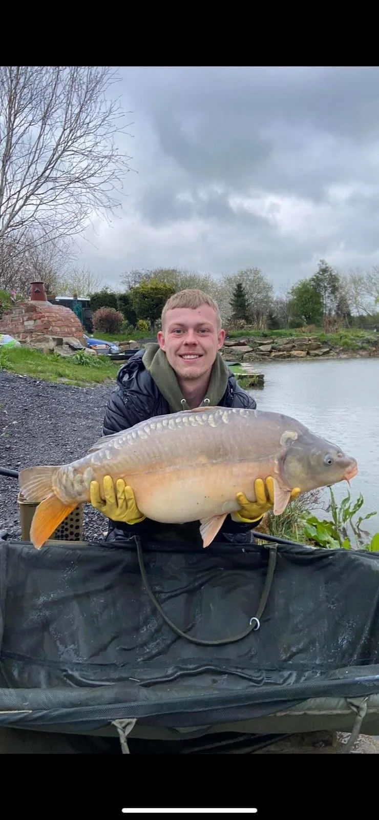 Gallery — Tom's Pond