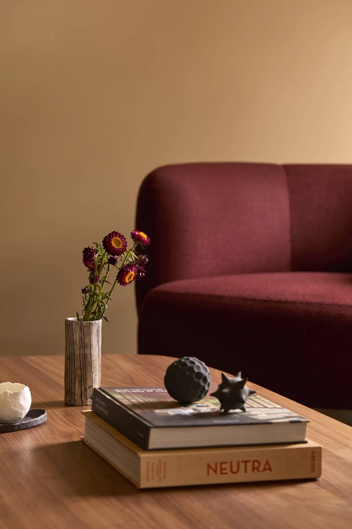 Living room coffee table and accessories