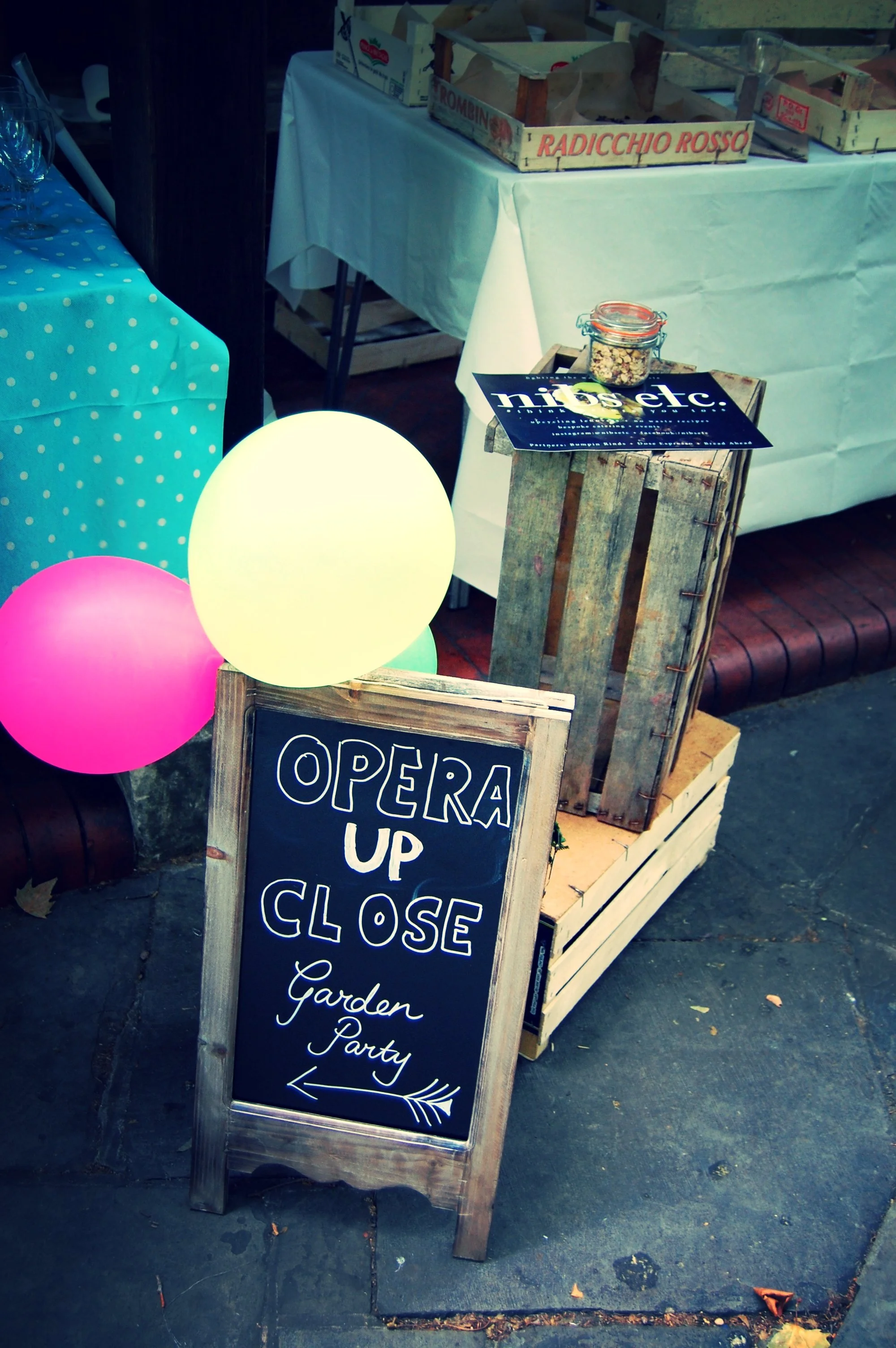 OperaUpClose's Summer Garden Party