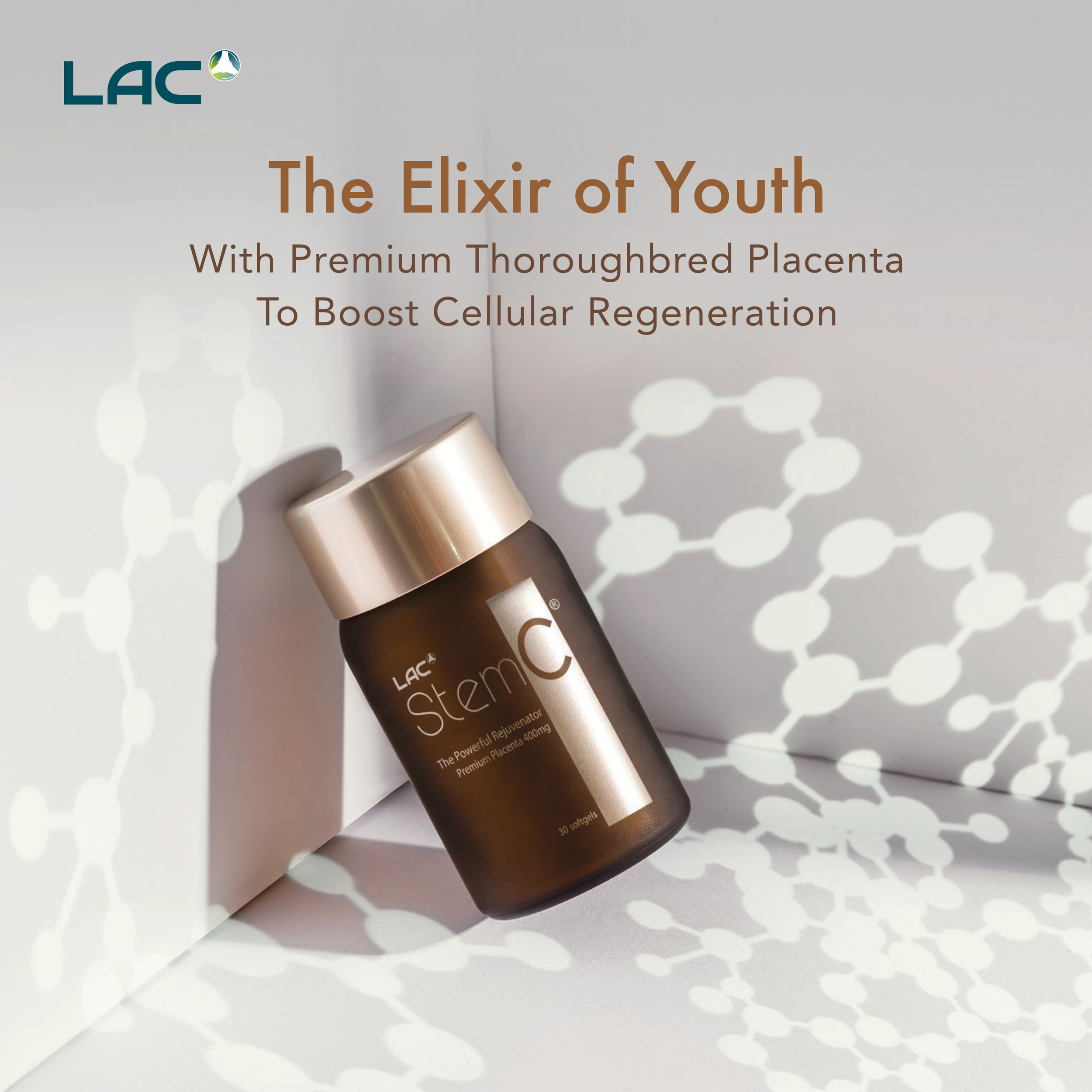 AH_23_06_001_MBS Lightbox StemC_lores_visual.pdf (Instagram Post).png