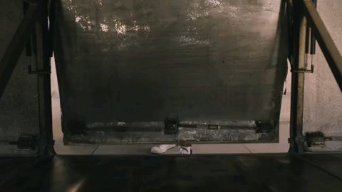 3.gif