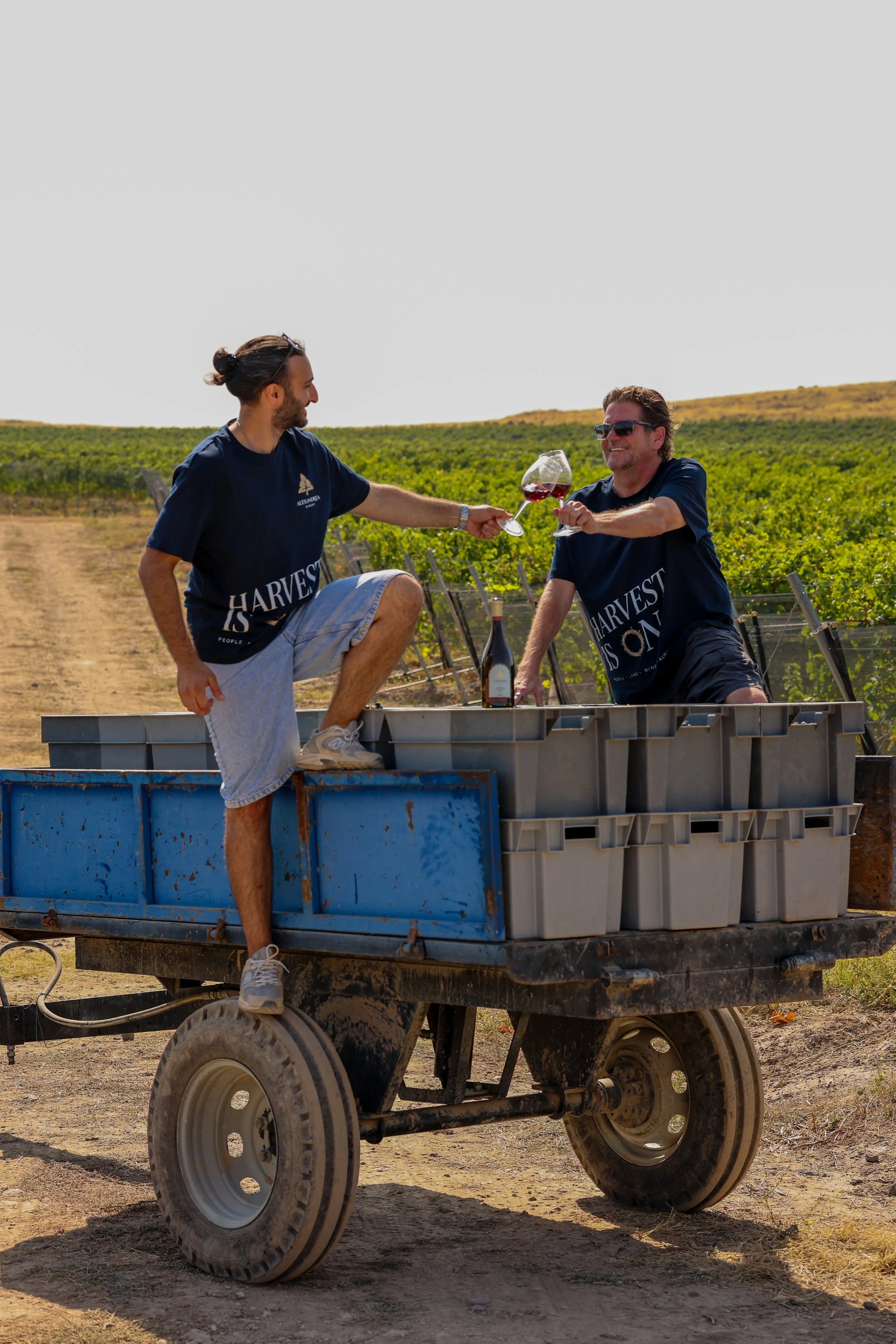 Harvest_2026_2.JPG