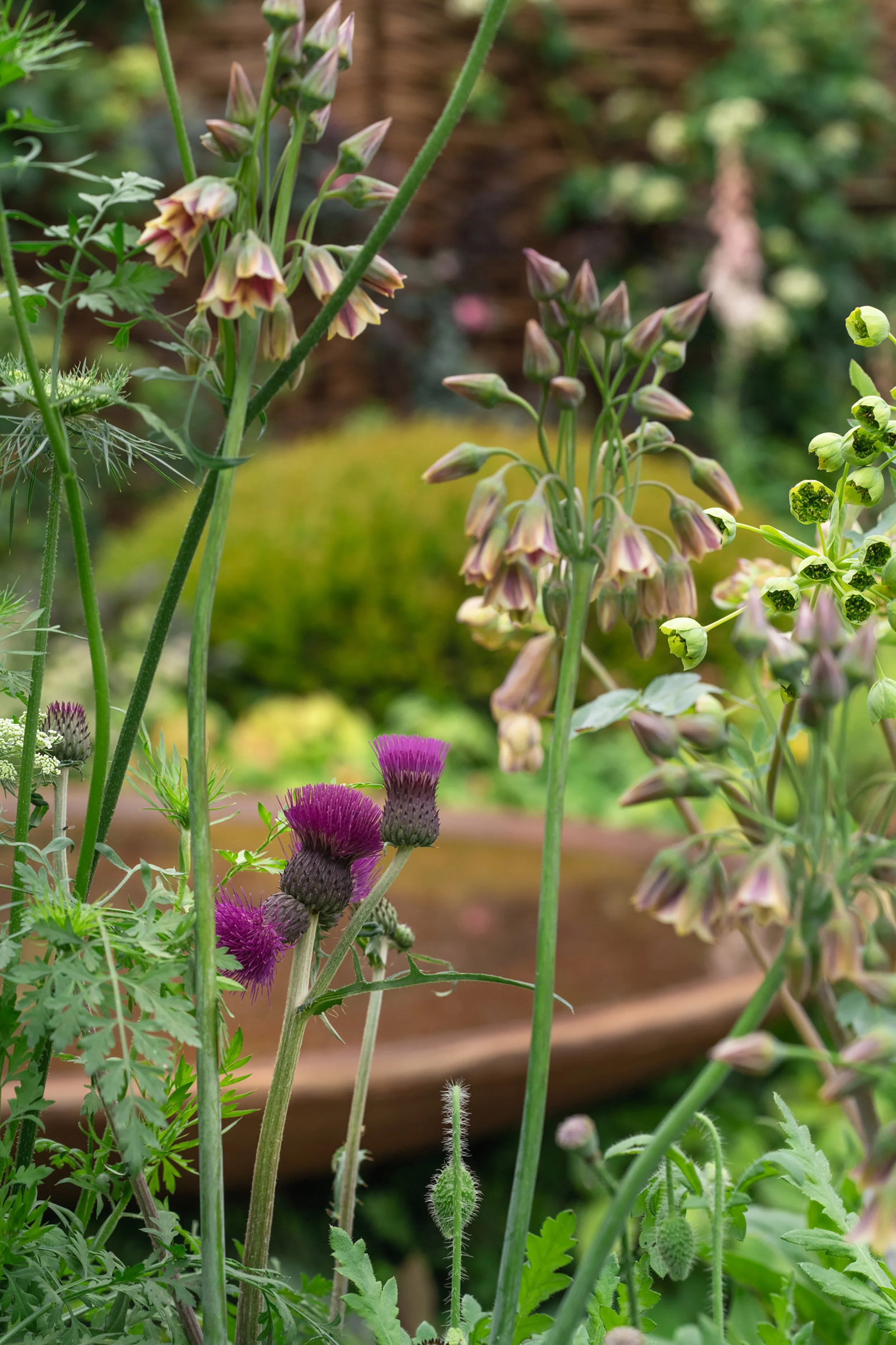 Good_Grounding_Garden_Design_Surrey_Hampshire_Sussex_Katy_Terry_RHS_Chelsea_ADHD3.jpg