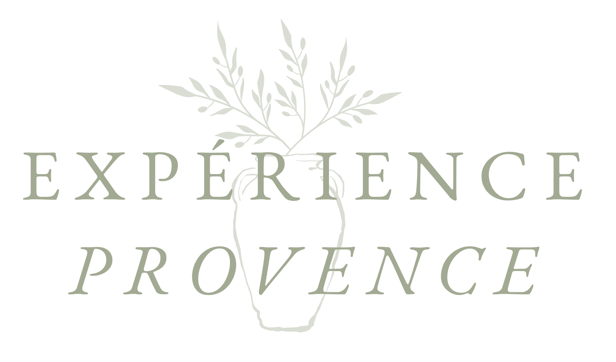 Logo représentant une branche d'olivier dans un pot, avec le texte 'Experience Provence'