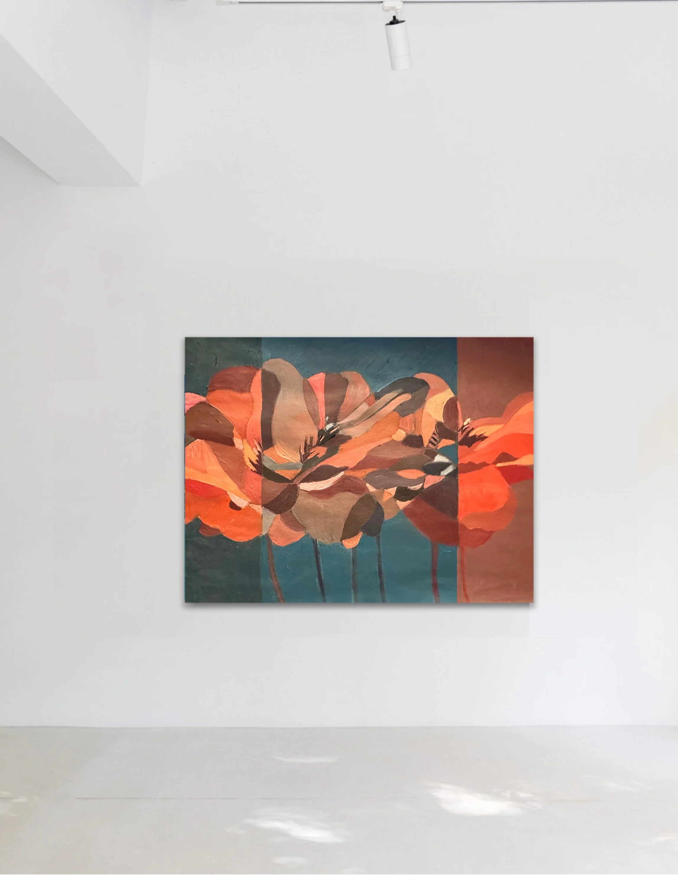 coquelicot insitu.jpg