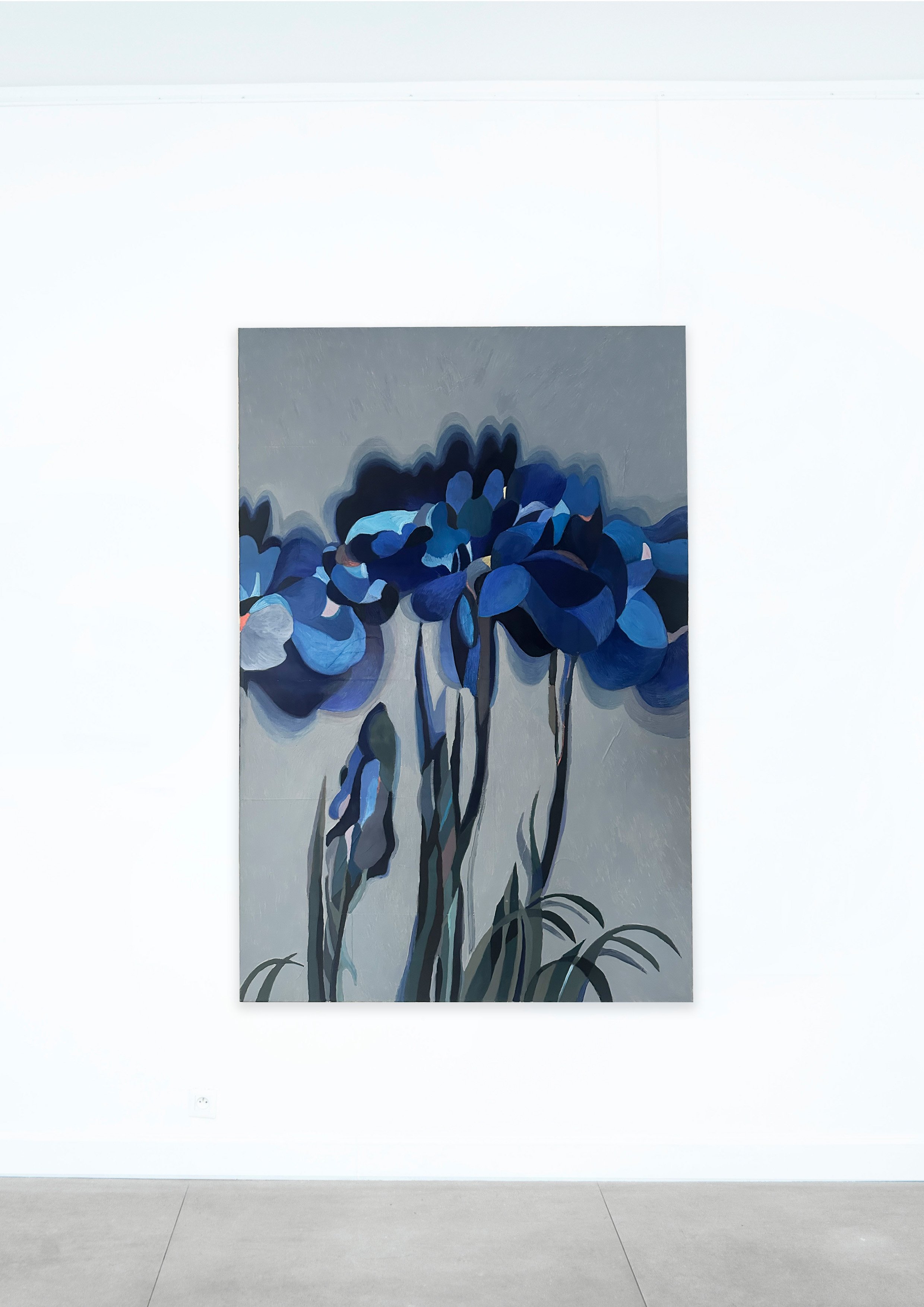 blue et gris lys.jpg