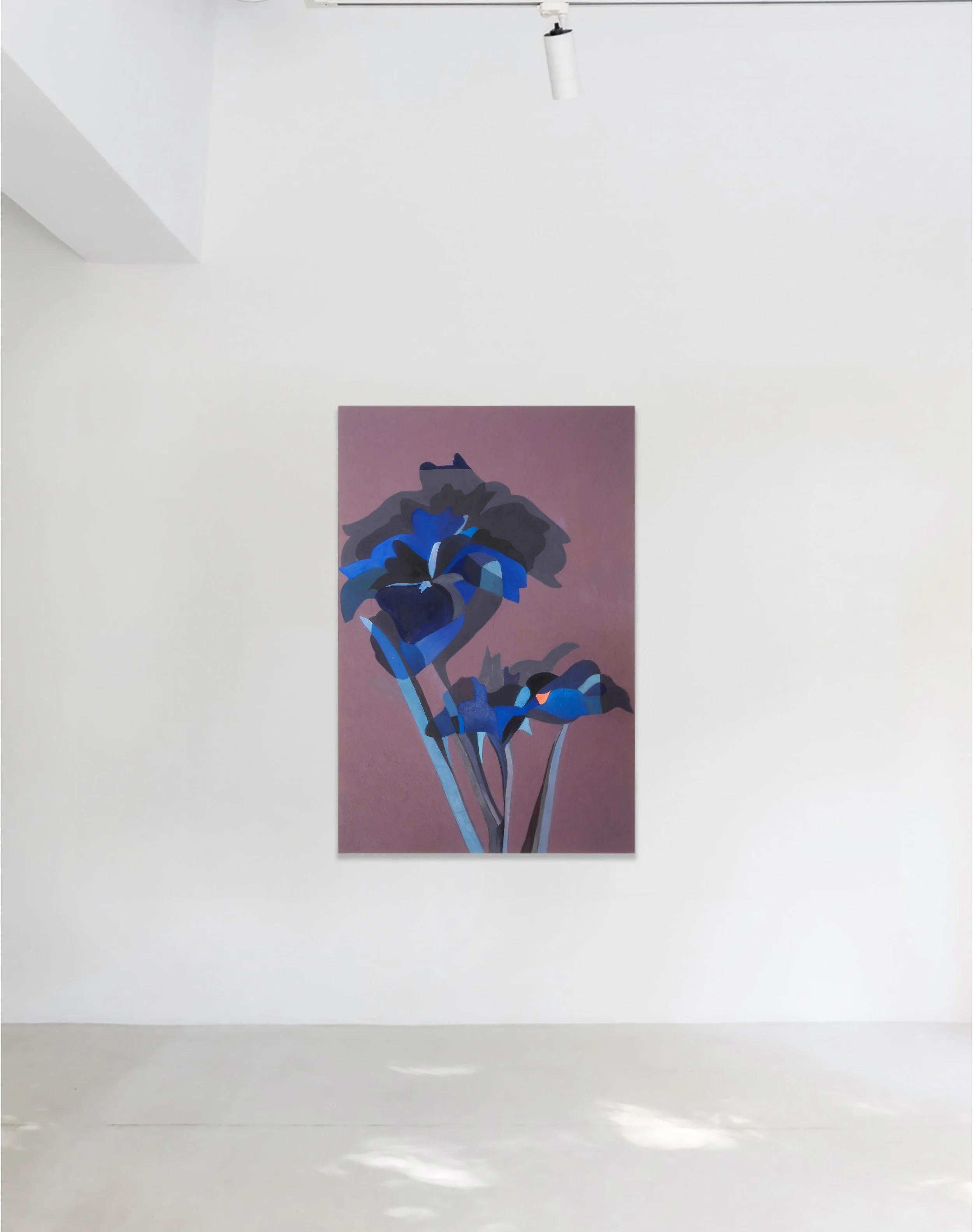 purple flower insitu.jpg