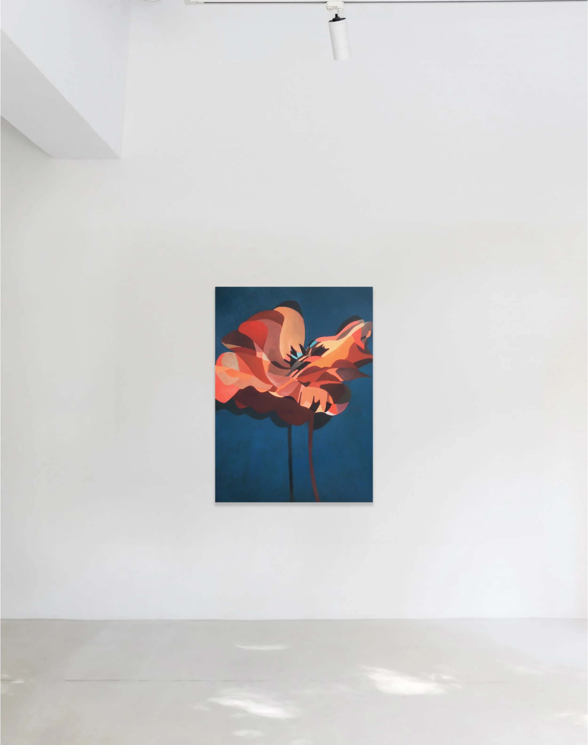 coquelicot single insitu.jpg