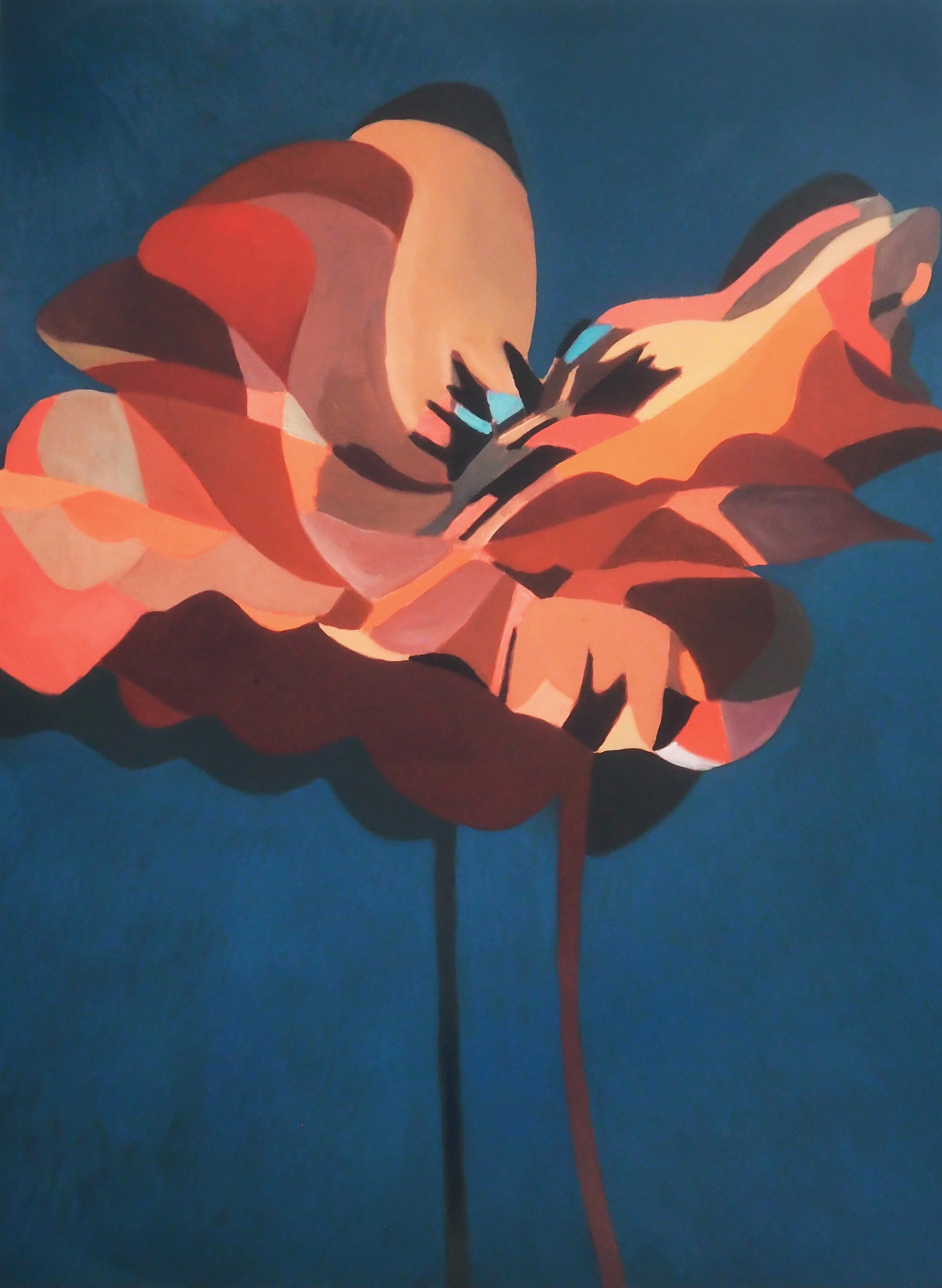 single coquelicot.jpg