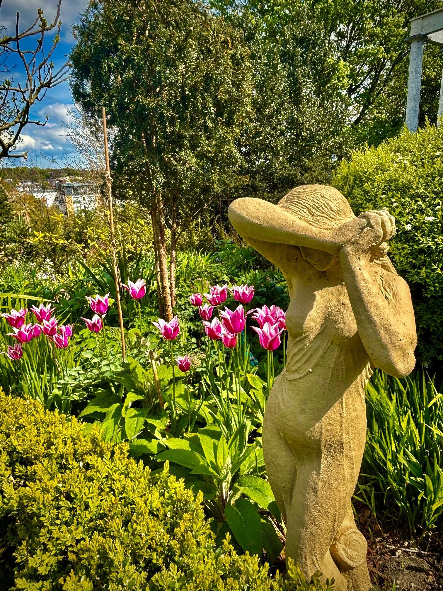 CREATE is proud to support the opening of the garden of our director, Matthew Williams, once again in 2025, in aid of the National Garden Scheme. The garden at Southgate House, Norwich, features elements of the practice’s landscape design and w