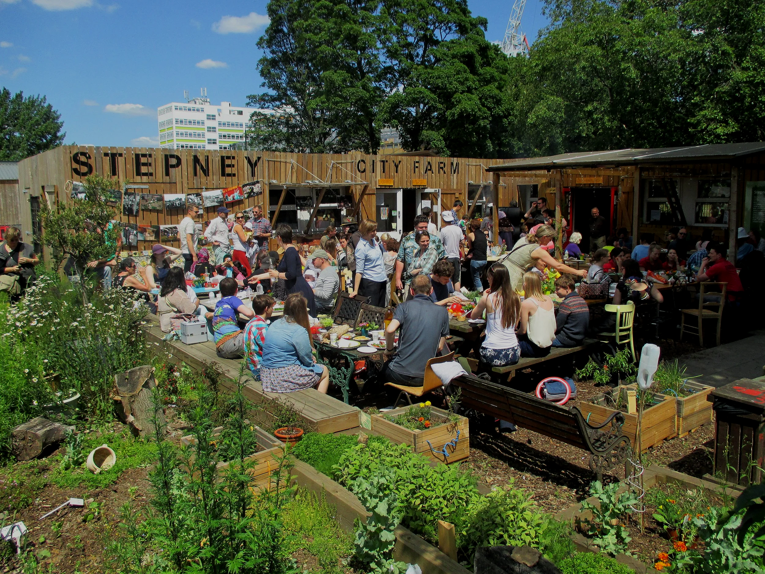 People gathered at Table Farm in Stillpney, enjoying outdoor activities and food under a bright, sunny sky with trees and city buildings in the background.