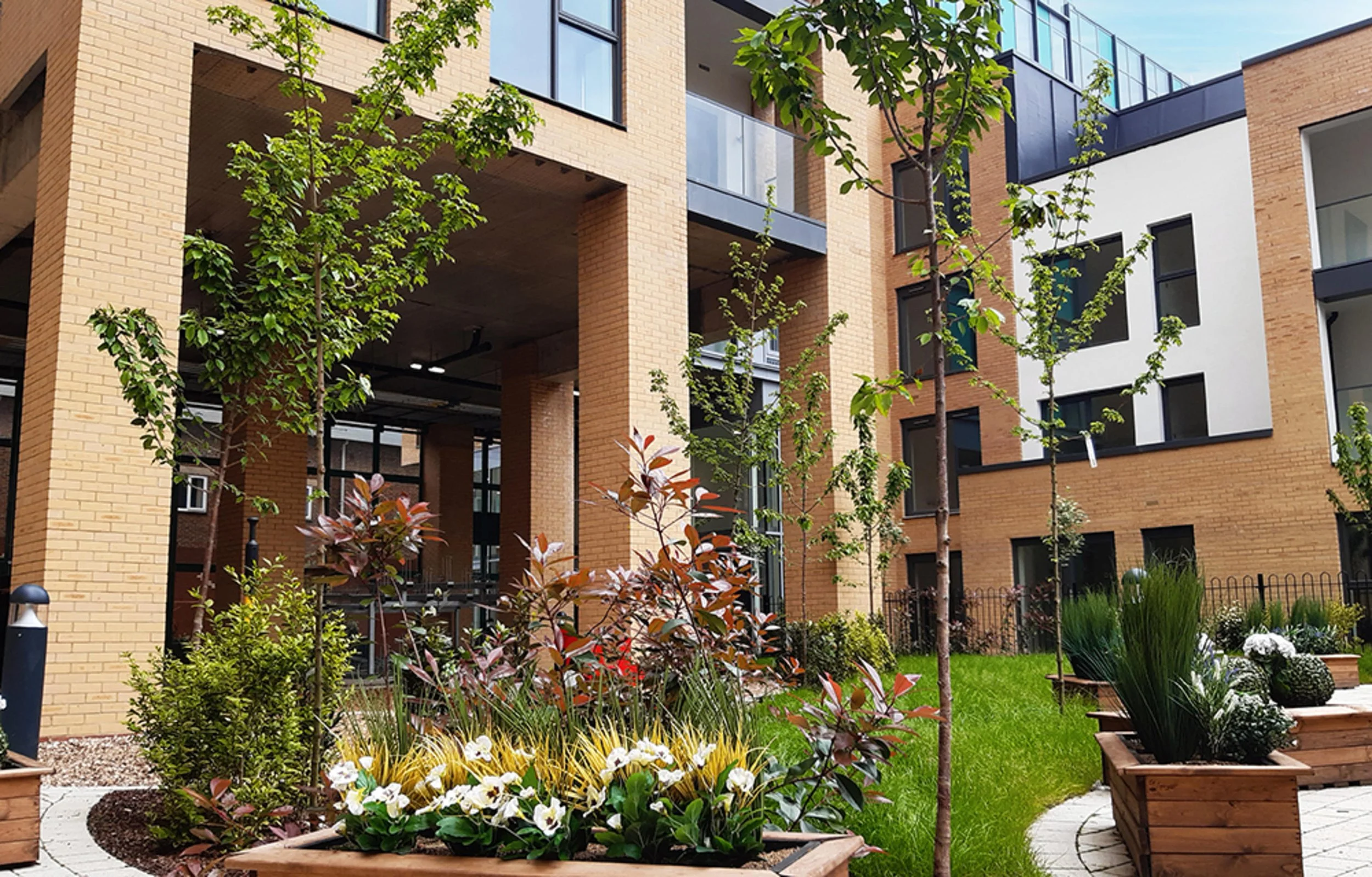 Rubix House Communal Garden