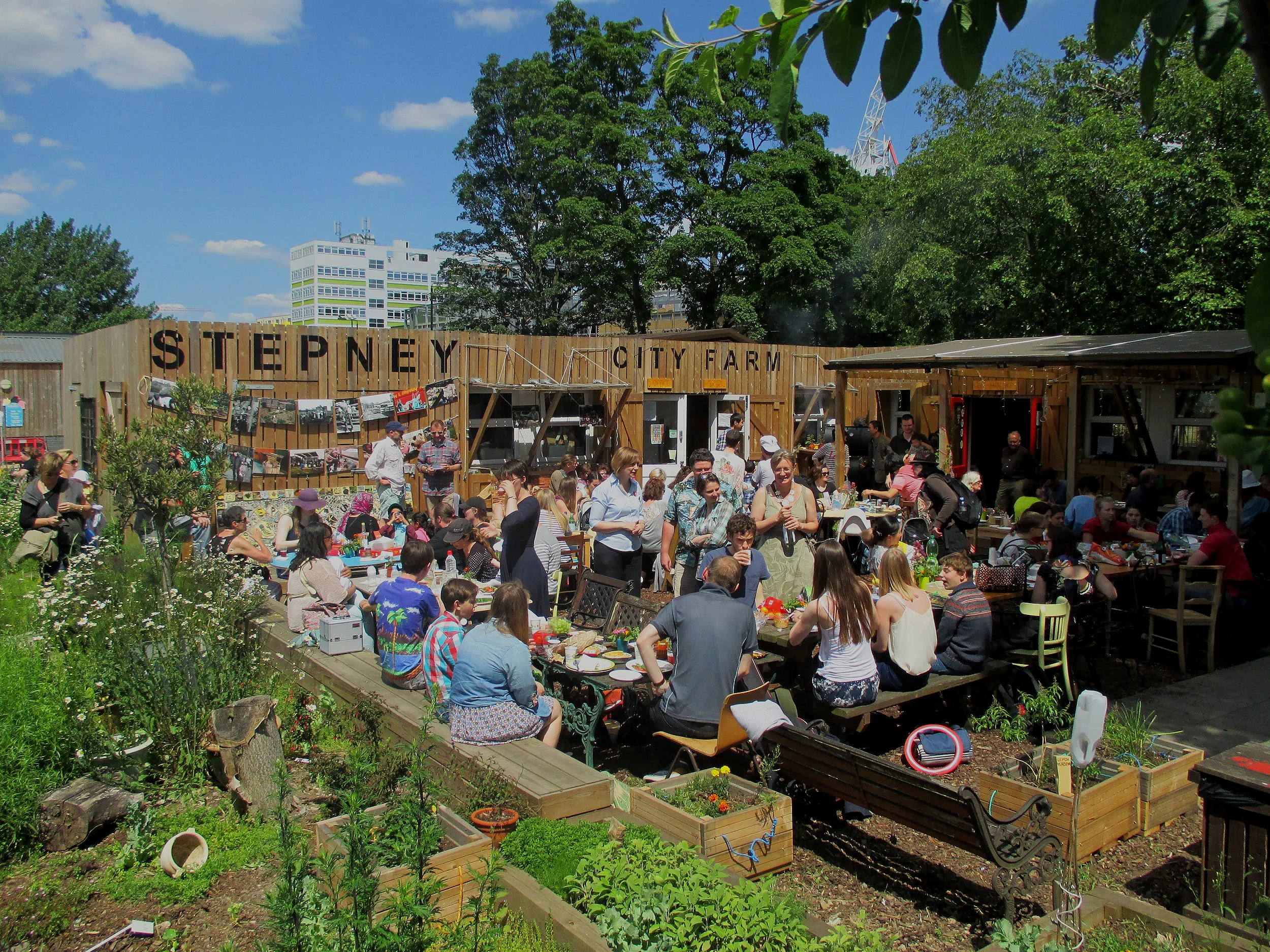 Crowd of people enjoying a meal at outdoor tables at City Farm, with trees and buildings in the background.