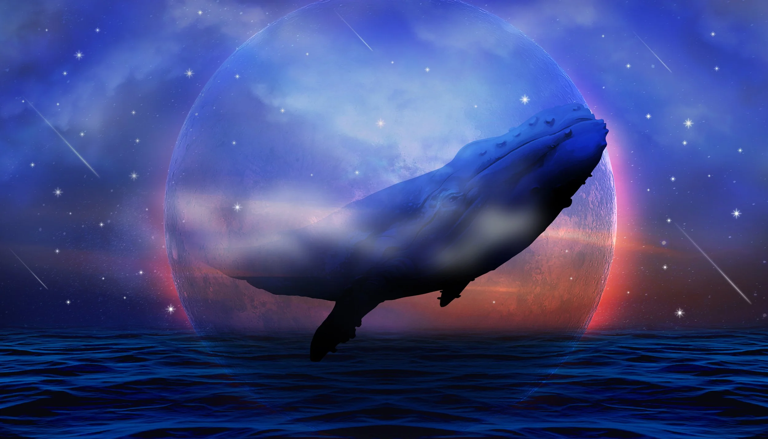 Cosmic Whale Dreaming