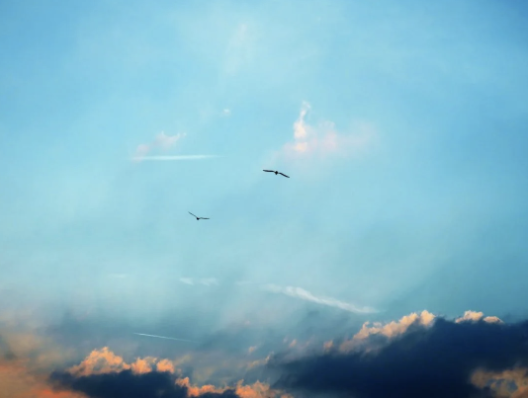 Screenshot 2026-01-15 at 14.39.51.png (Copy)