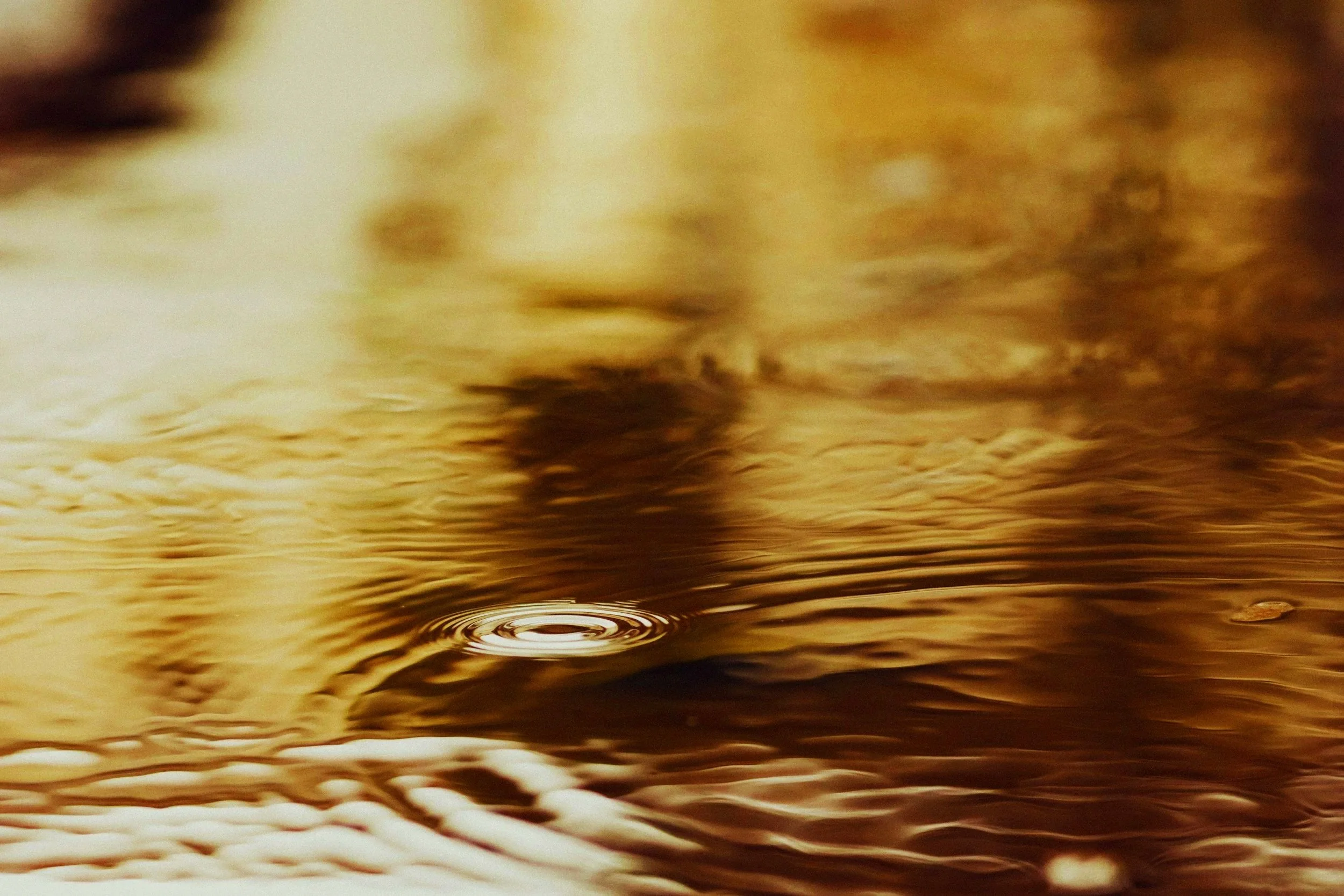 Image of bokeh glimmers of gold and rainbow colours