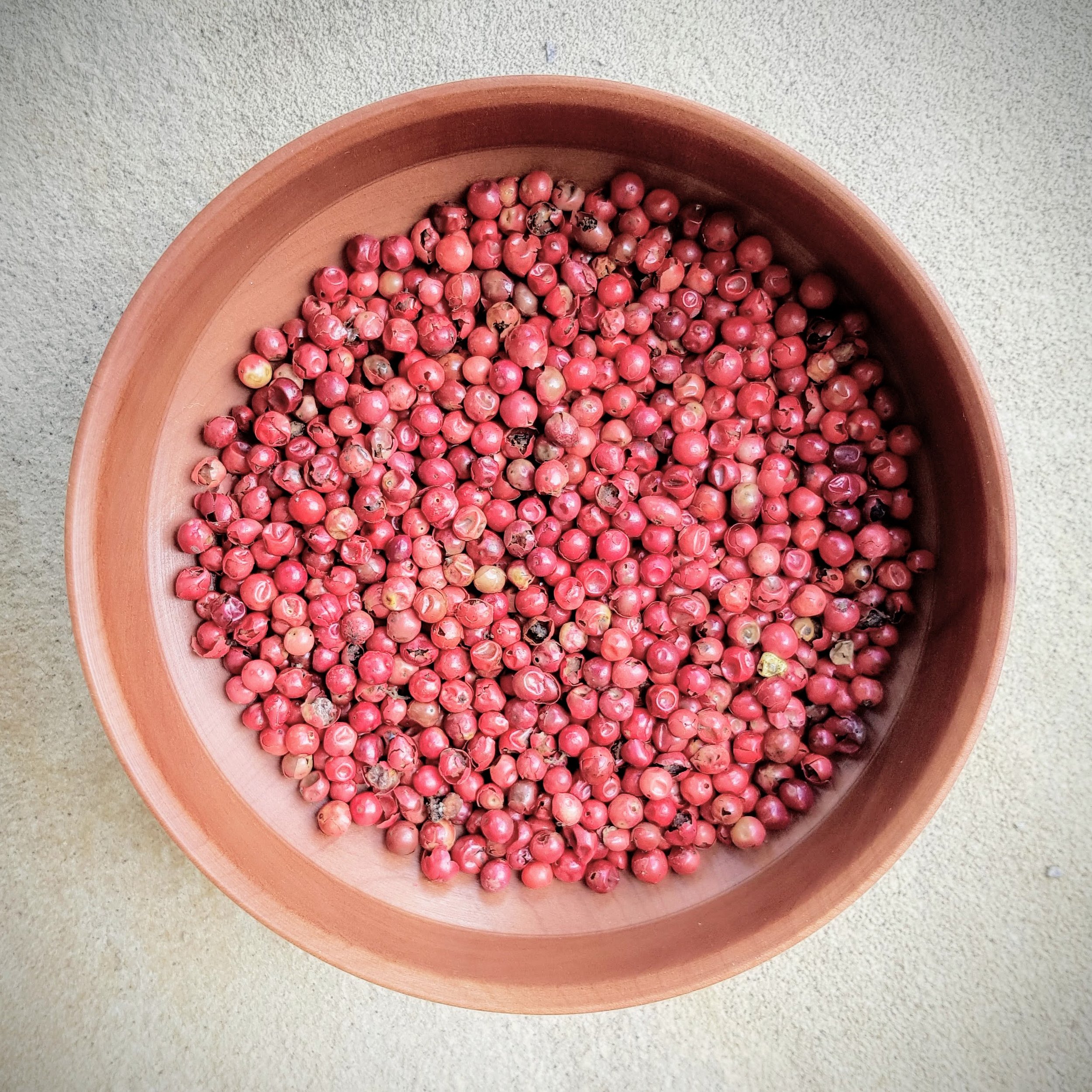 Beech and pink pepper