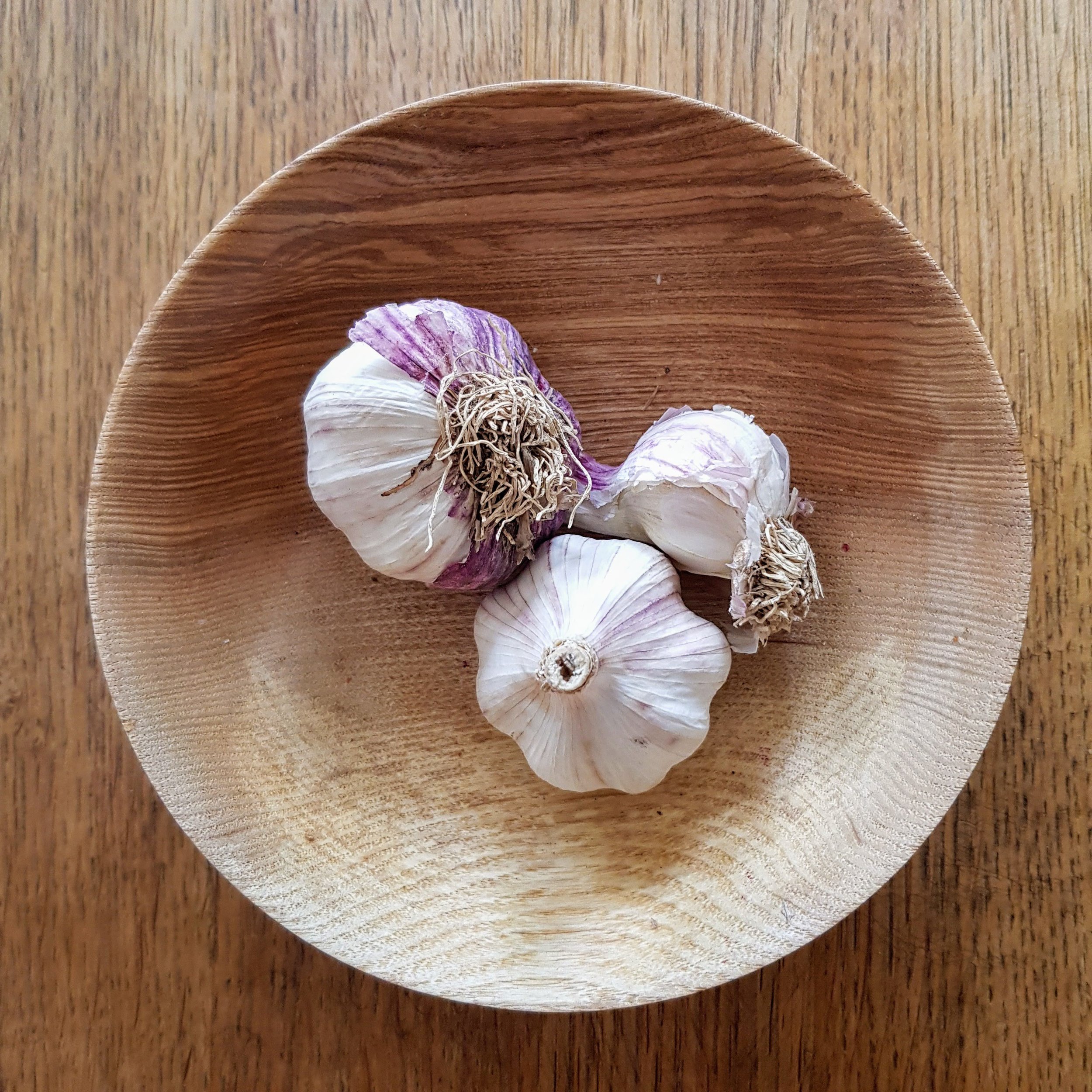 Ash bowl with garlic
