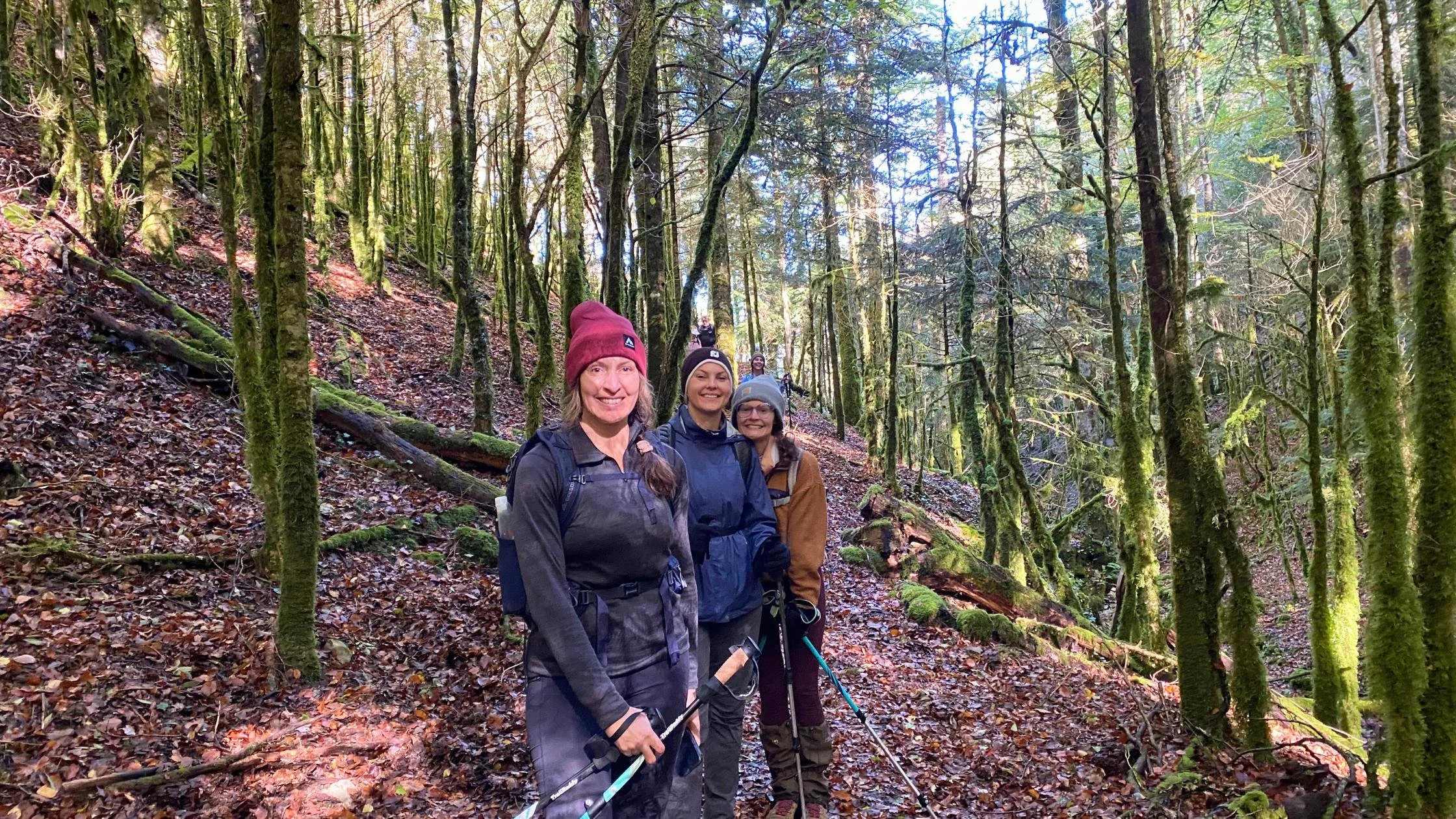 Three women hiking in a forest with leaves on the ground.