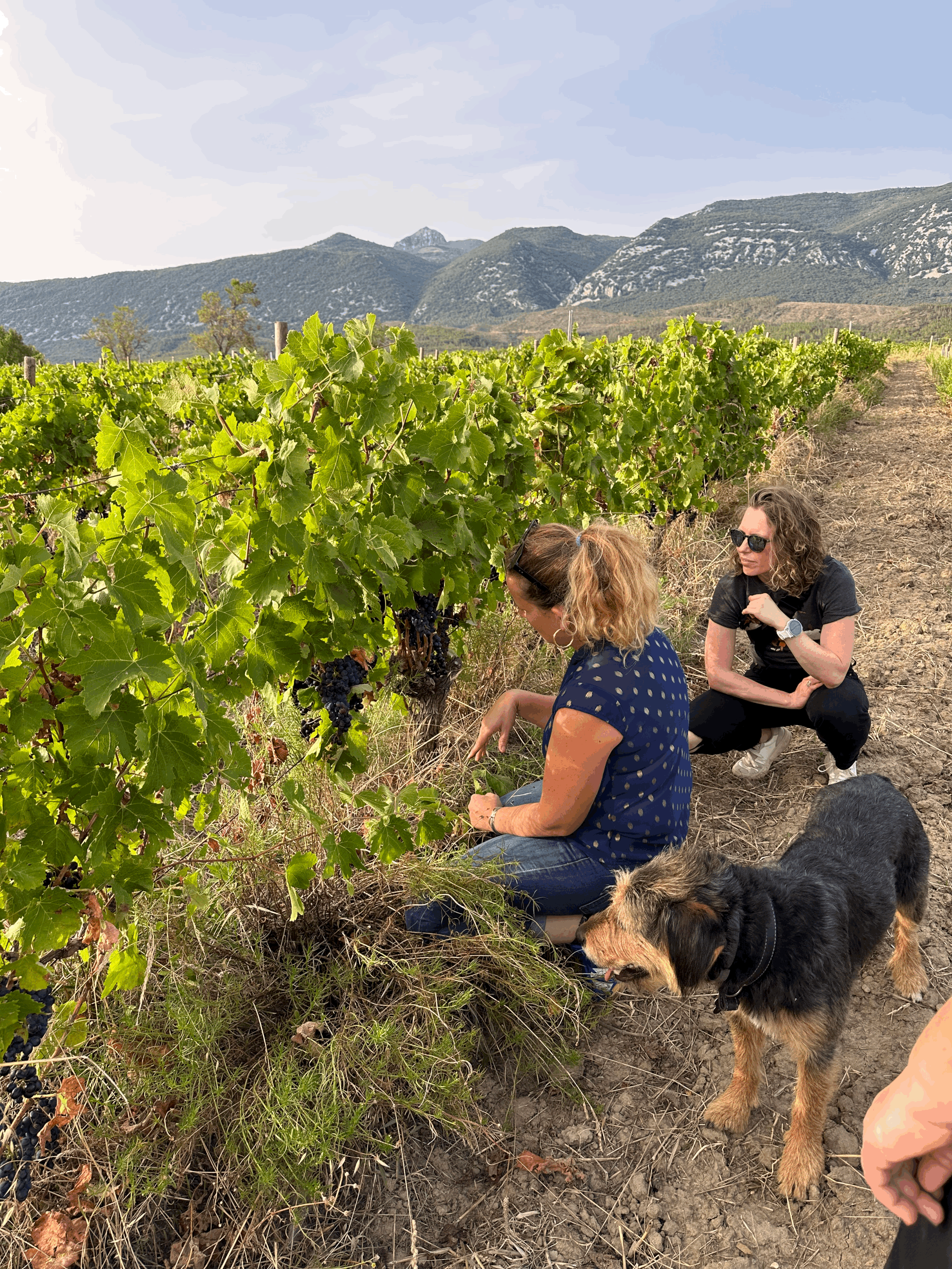 10 Must-Visit Hidden Gems in the Pyrenees: Athara Adventures Insider Guide