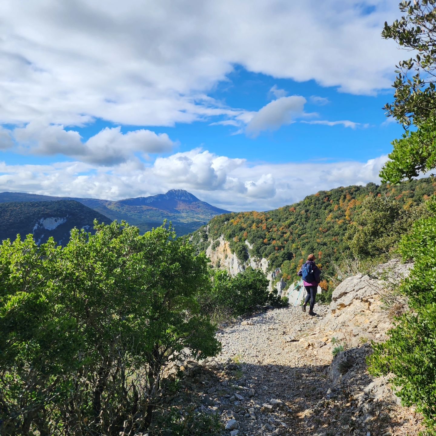 Experience the magic of the mountains. ⛰️ 

#atharaadventures #galamus #adventuretravel #hikingtours #ebikingtours #cathar #mountainviews # woodsy #alltrails