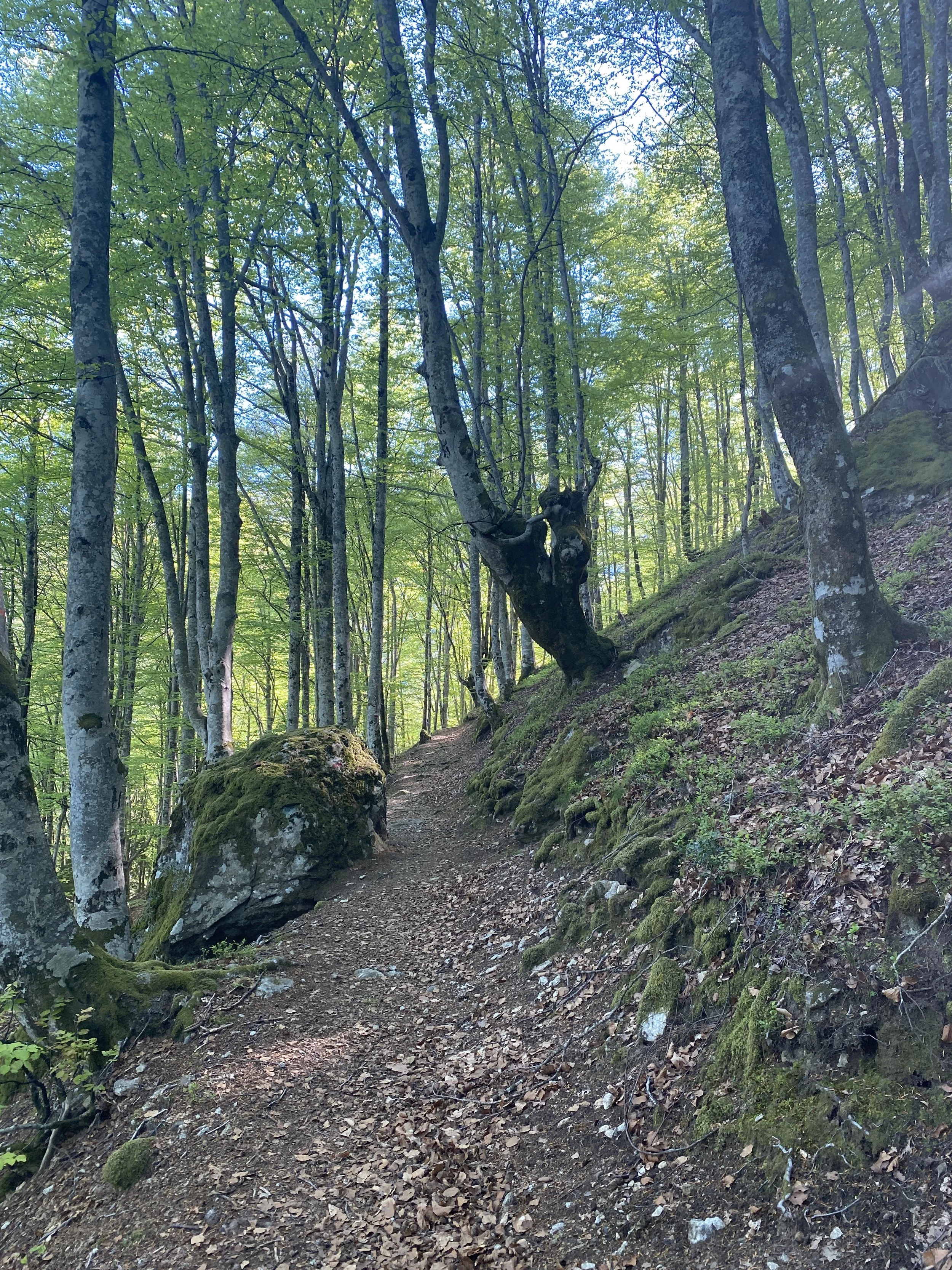 Hiking to Le Col de la Core.JPG
