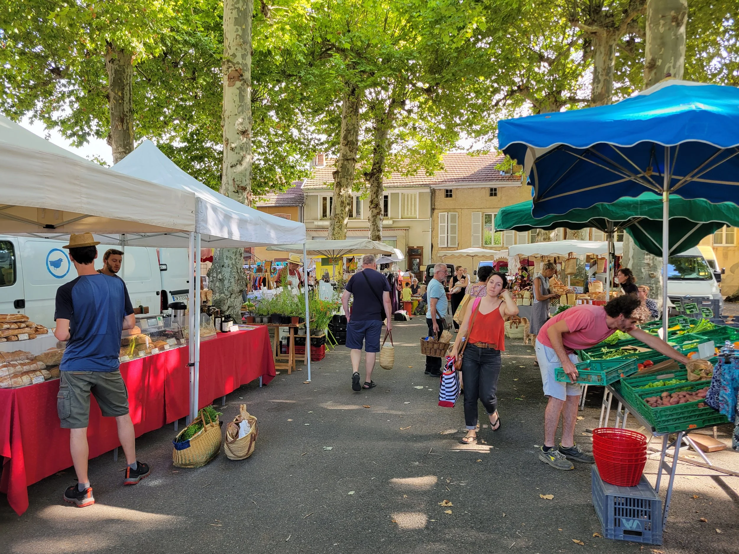 Le Mas d'Azil Market 3.jpg