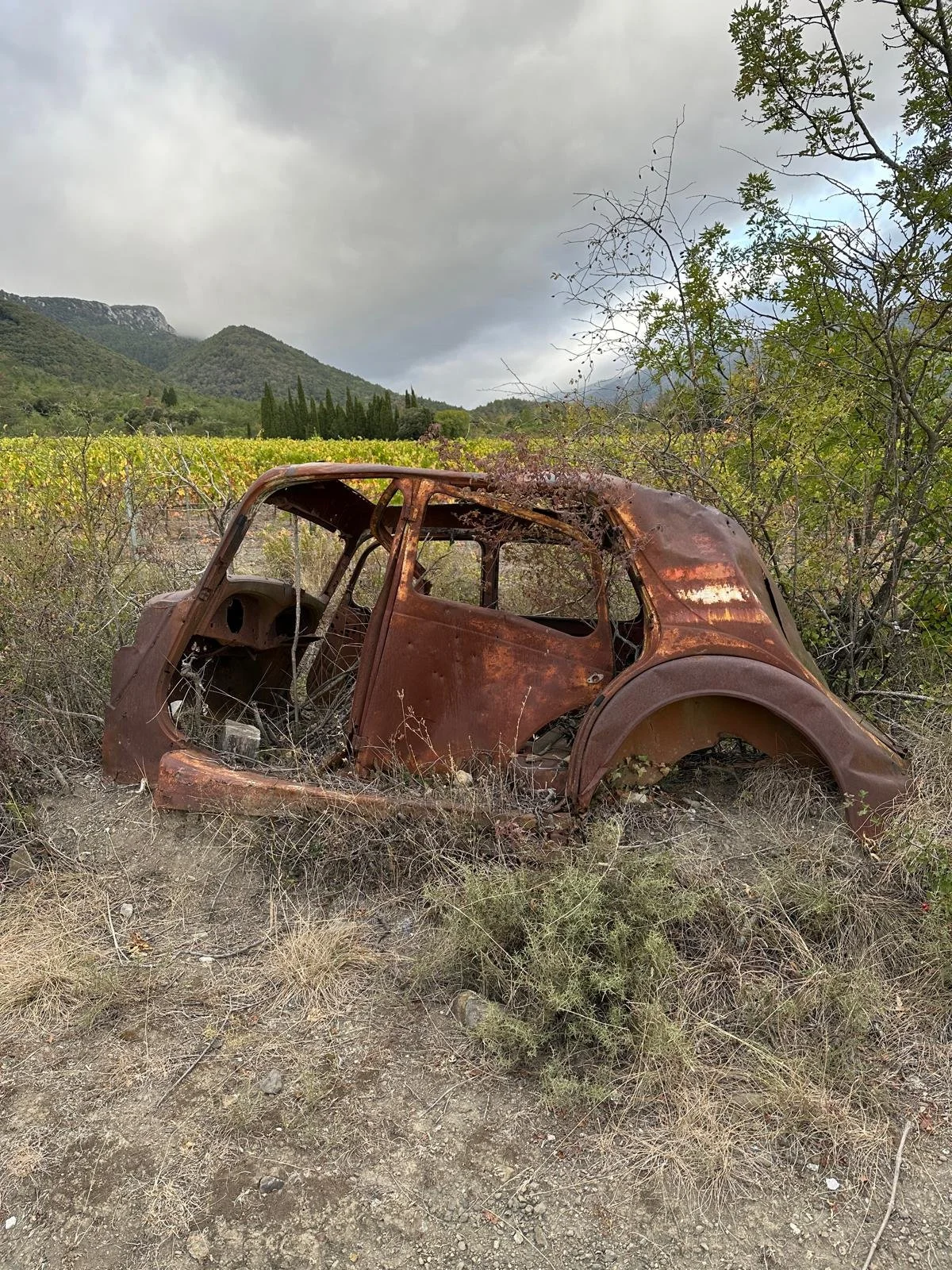 WWII Resistance.jpeg