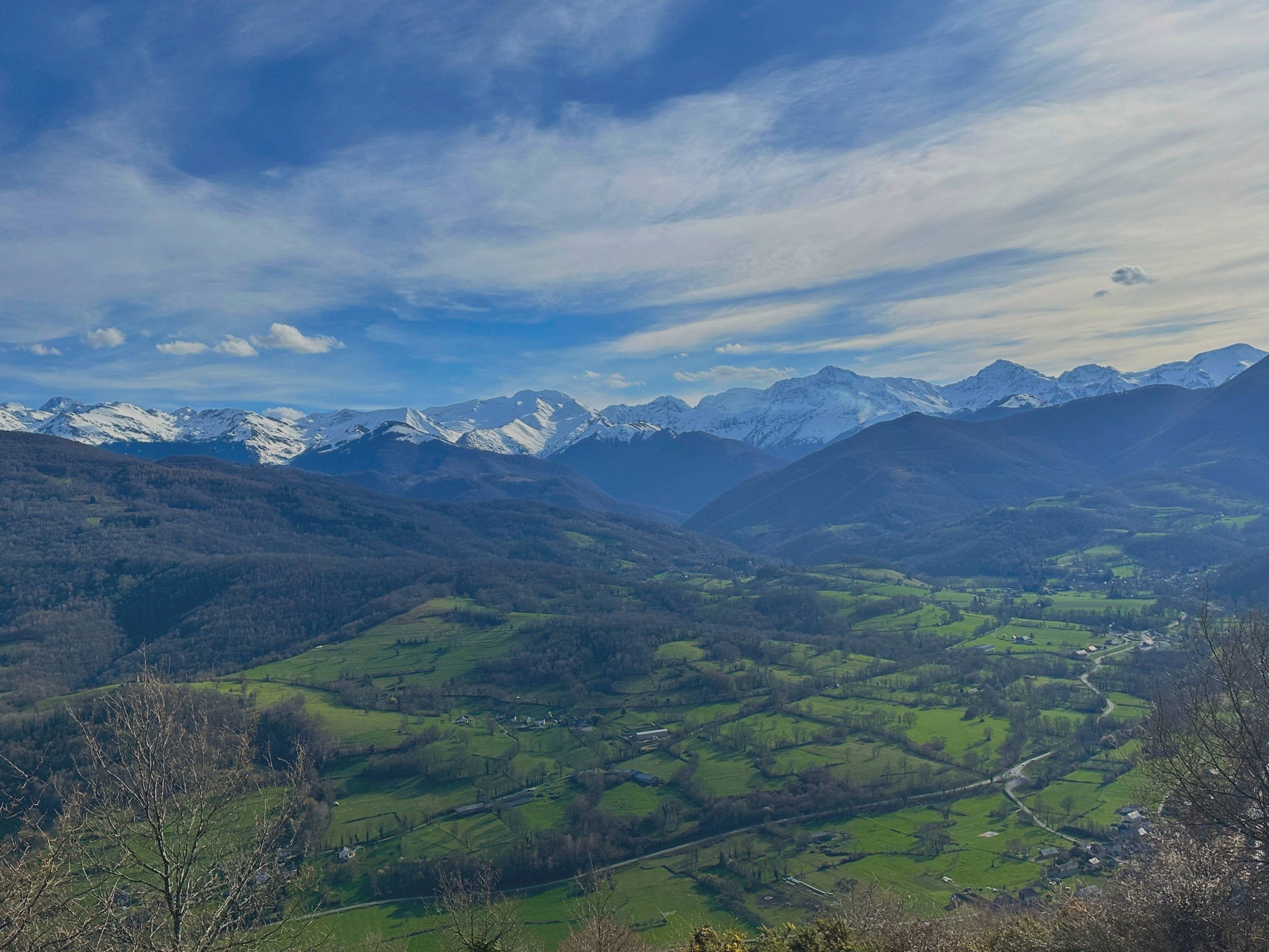 Green forest with woman walking with a backpack.