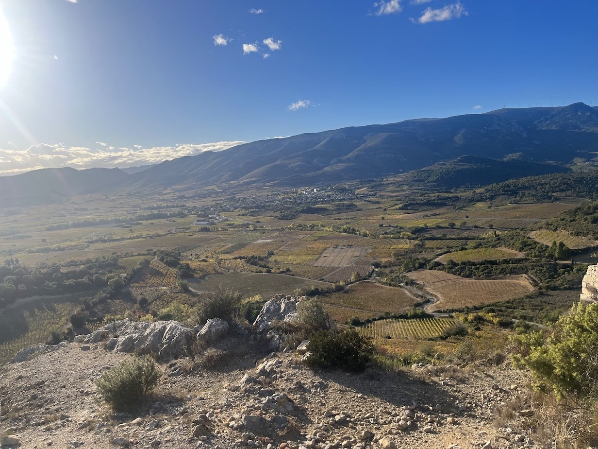 Photo of landscape and vineyards in the Roussillon region in France