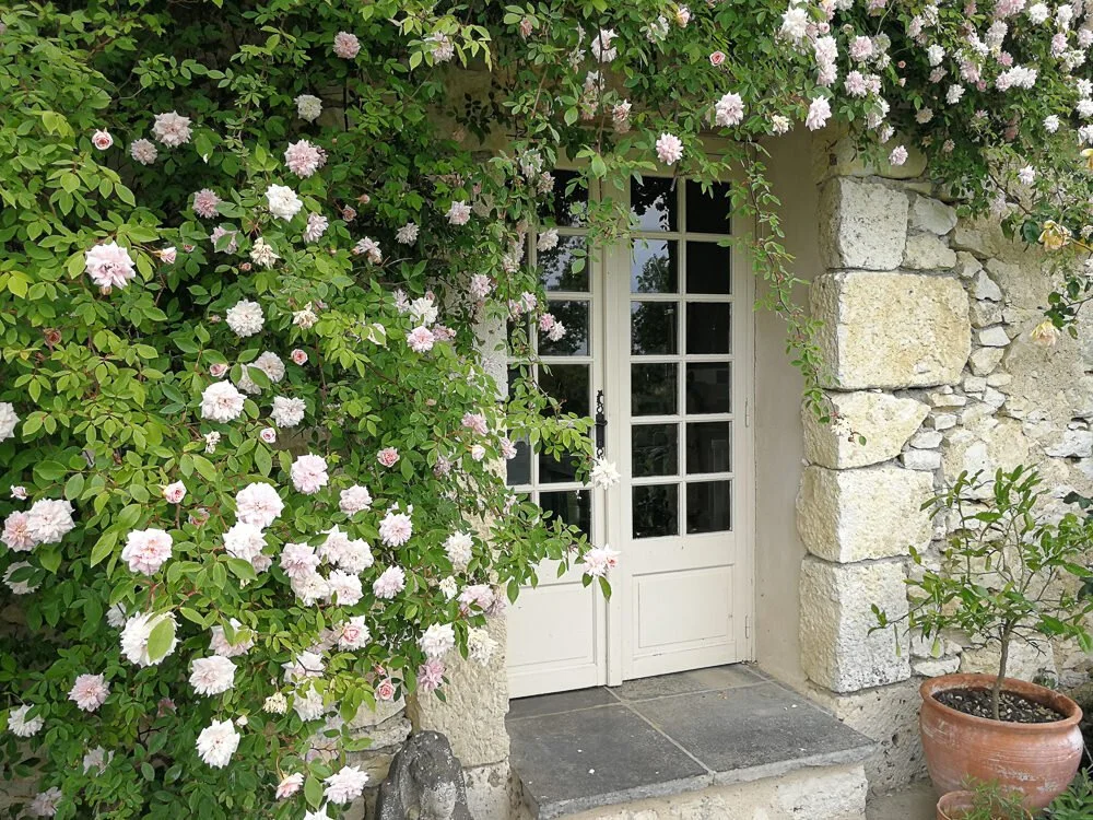 roses hanging above doorway at Chateau Puissentut in France hosting women's perimenopause retreats