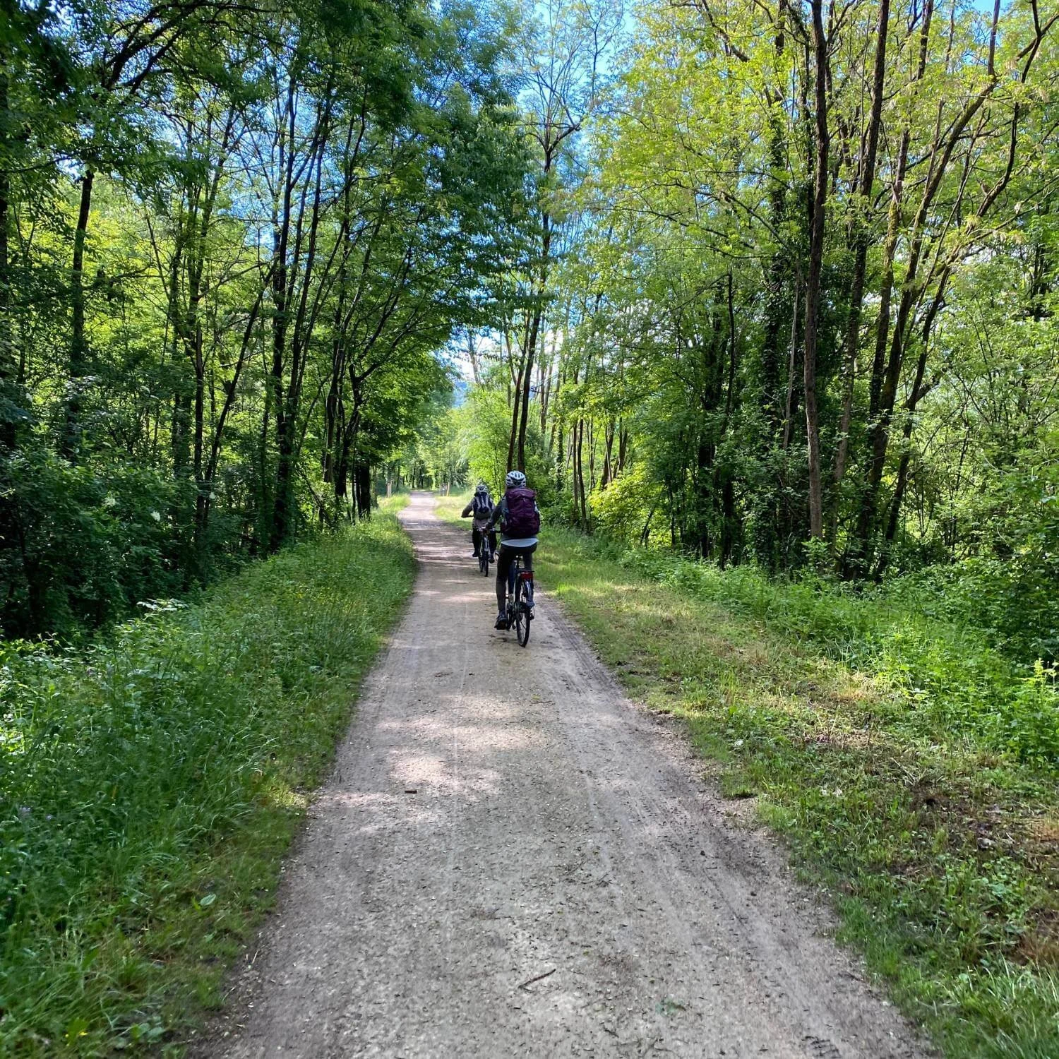 Gentle bike tour in France along a quiet woodland path