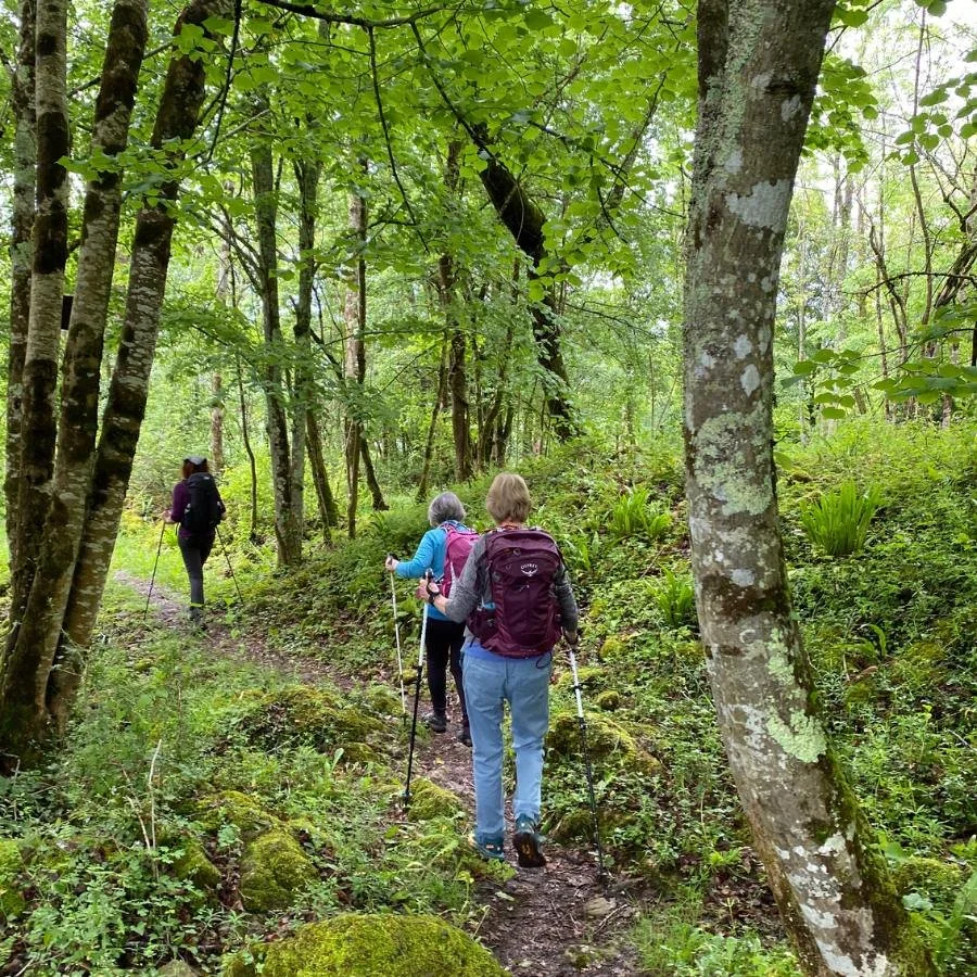 Three middle aged women walking on a green forest path.