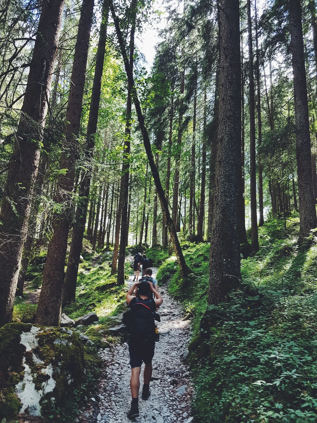 People walking through a wooded forest in a single line.