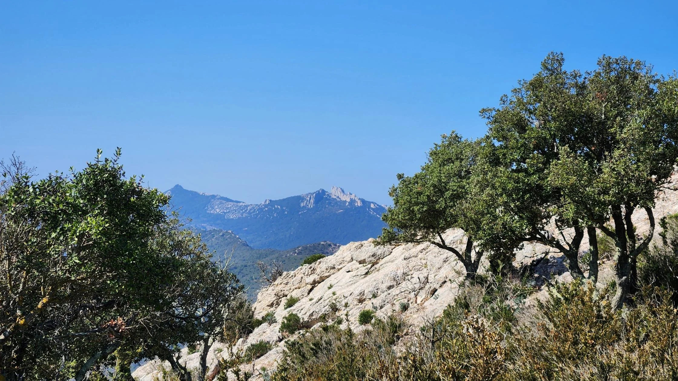 Mountain View with trees in Sentier Cathare