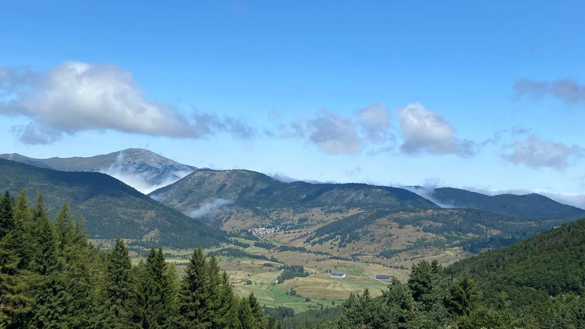 View of Pyrenees Mountains with pine forest in the foreground.