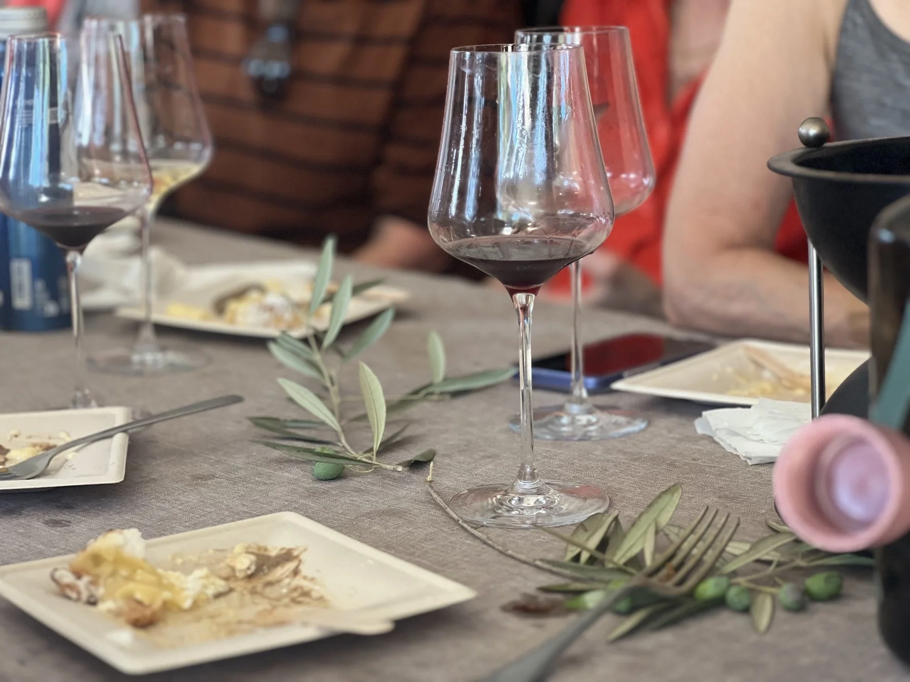 Wine Tasting in France Languedoc Region local small production wines